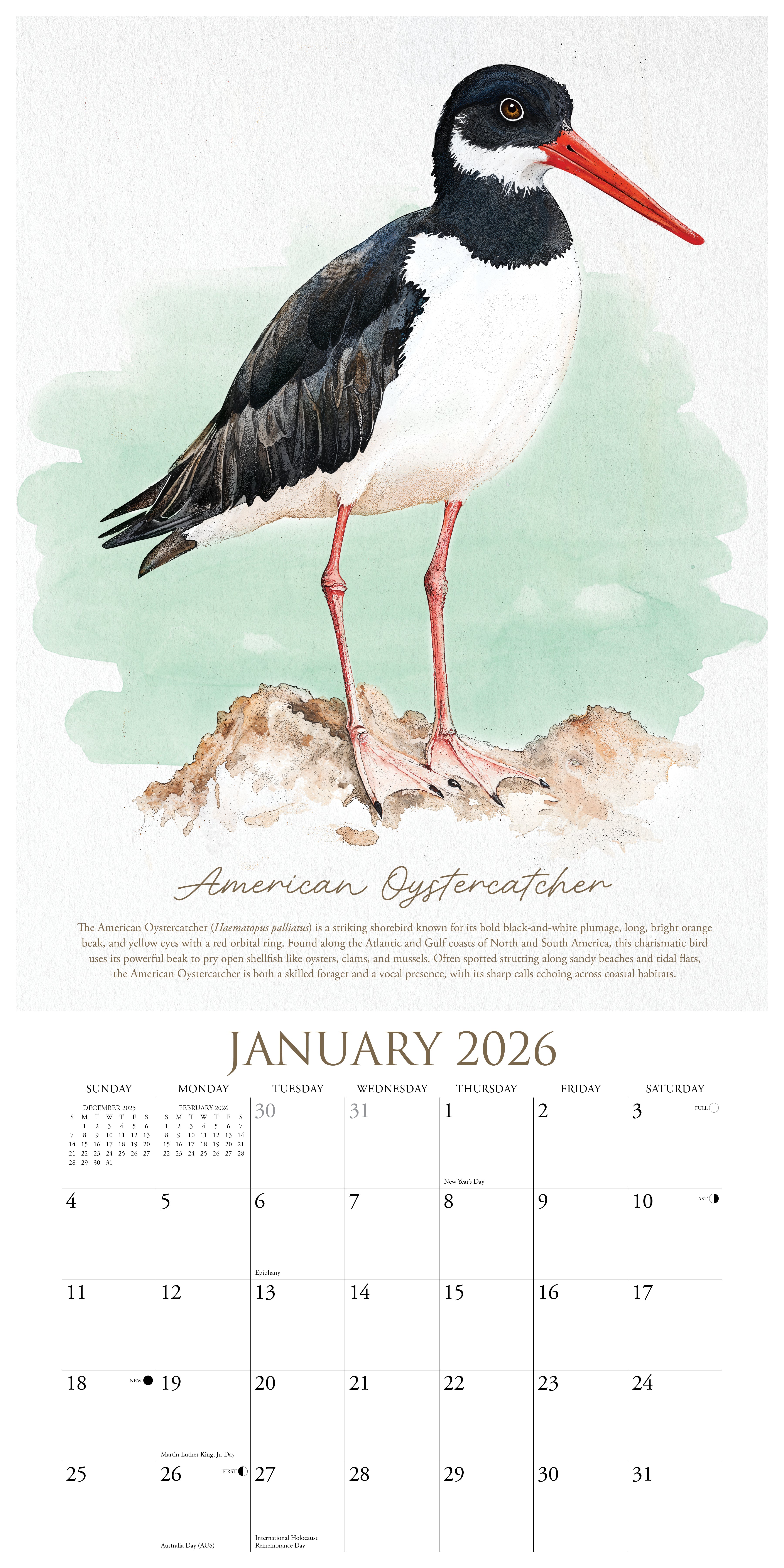 2026 The Art of Birds - Square Wall Calendar