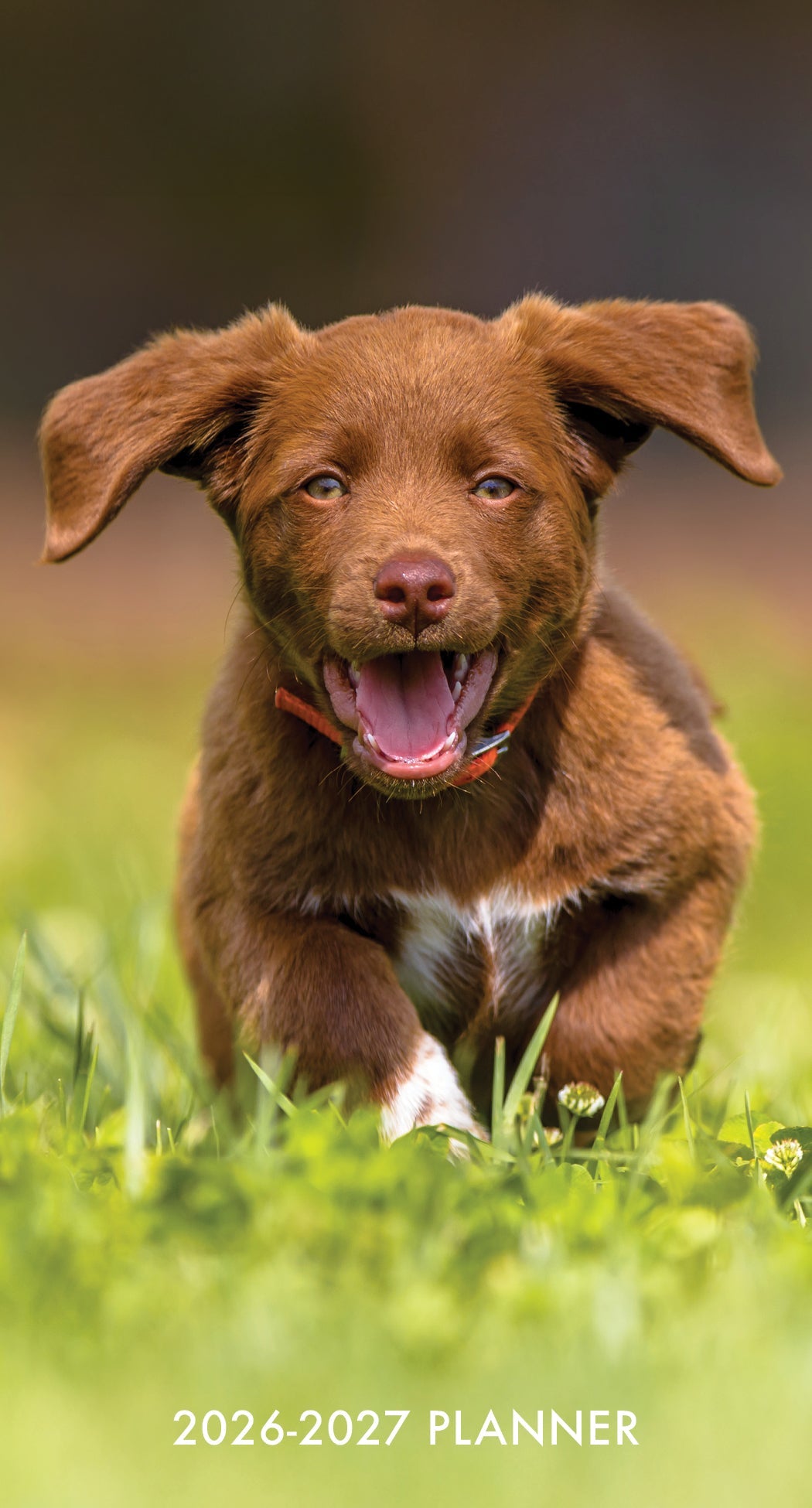 2026-2027 Puppy Love - Monthly Pocket Diary/Planner