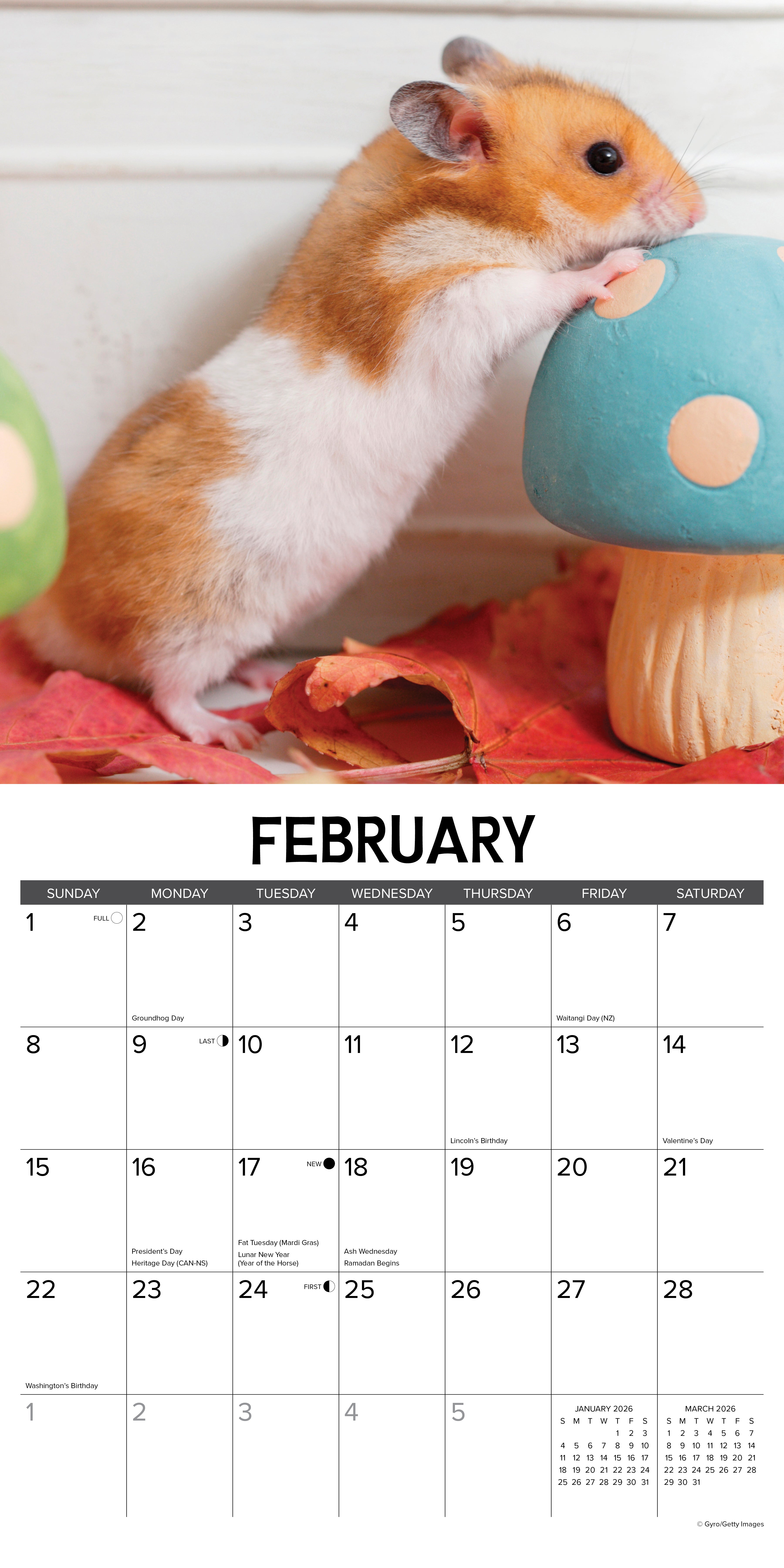 2026 Hamsters - Square Wall Calendar