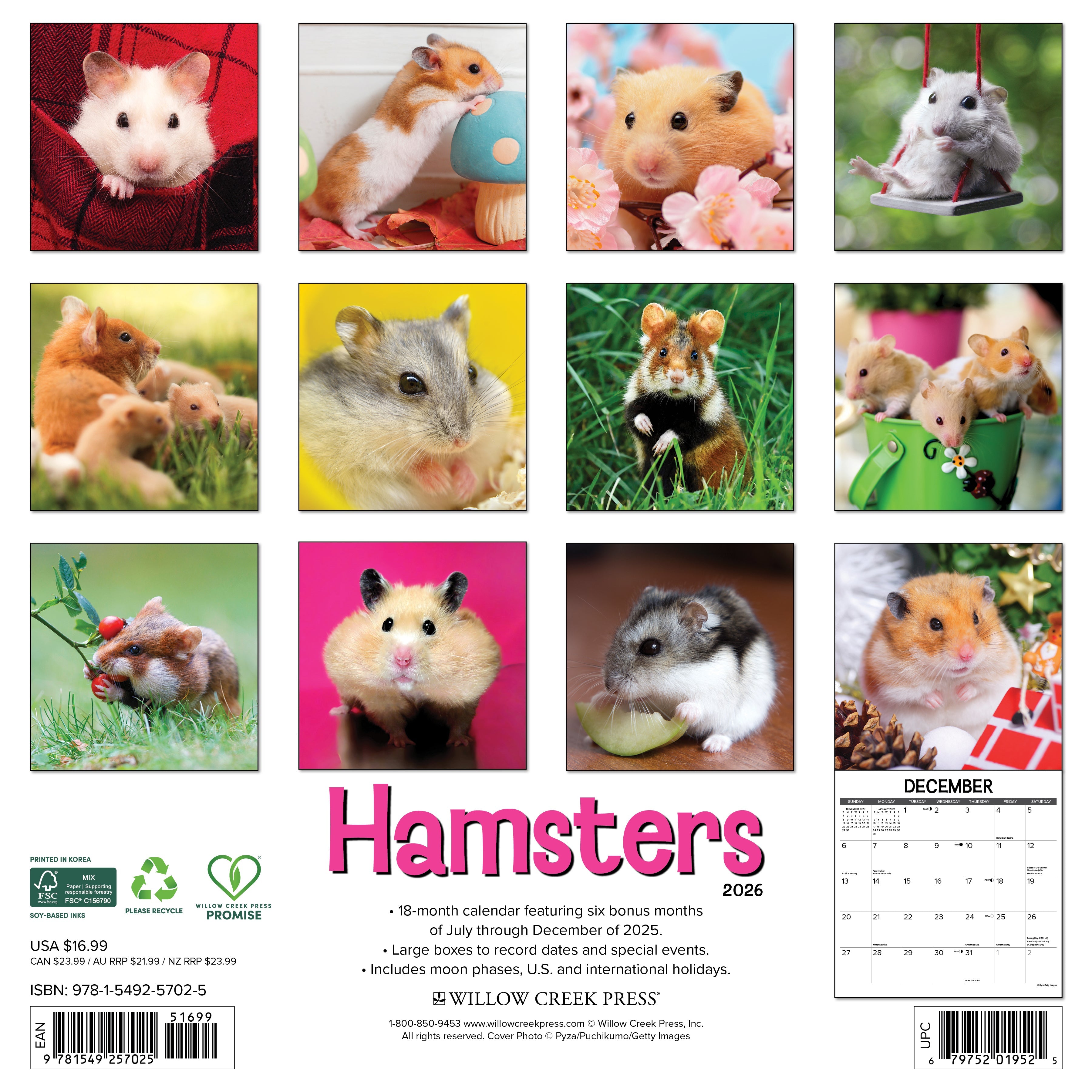 2026 Hamsters - Square Wall Calendar