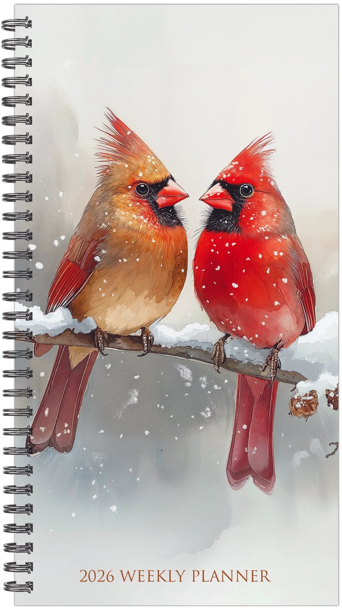 2026 Cardinals - Weekly & Monthly Pocket Diary/Planner