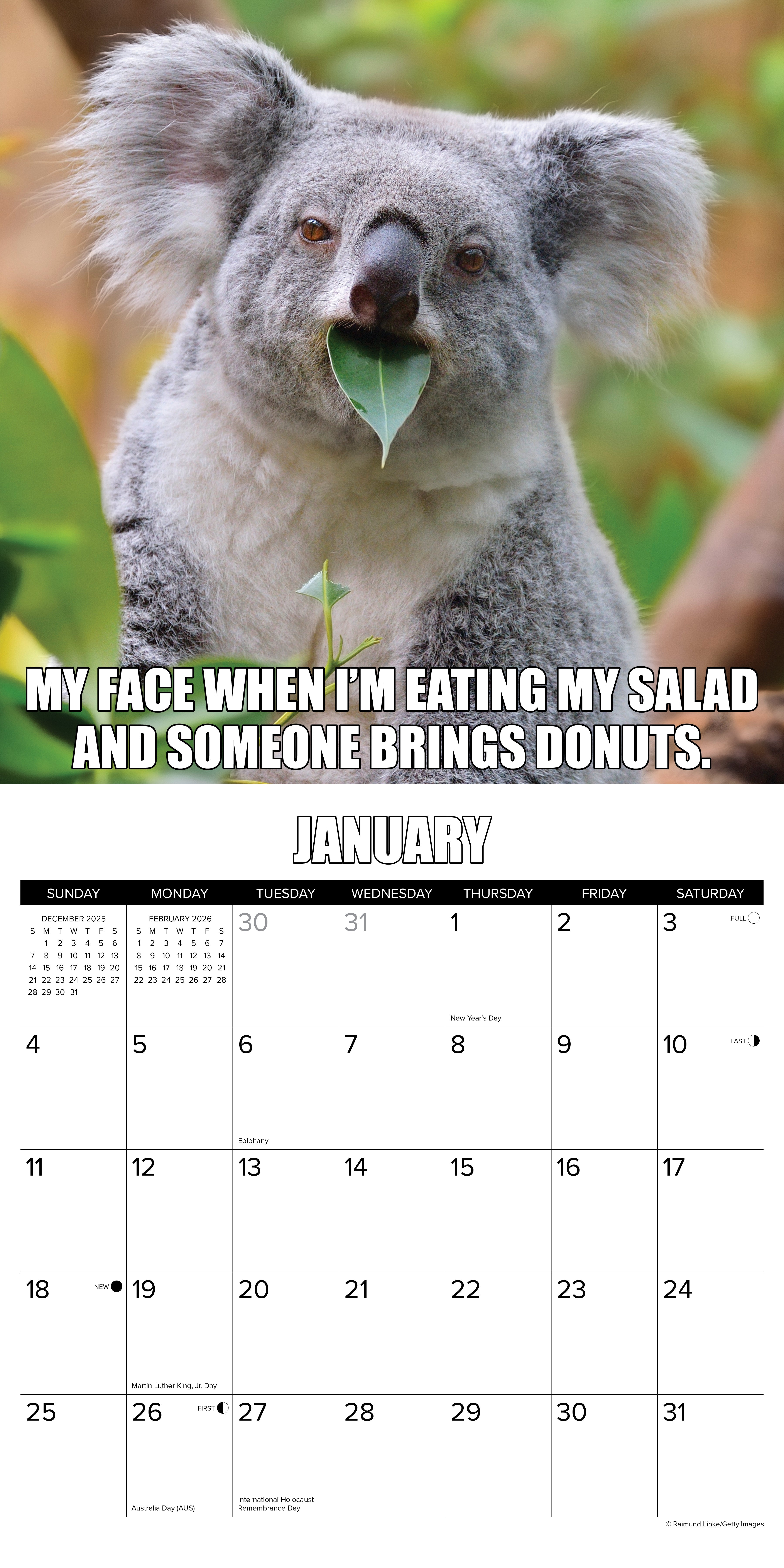 2026 Animal Antics - Square Wall Calendar