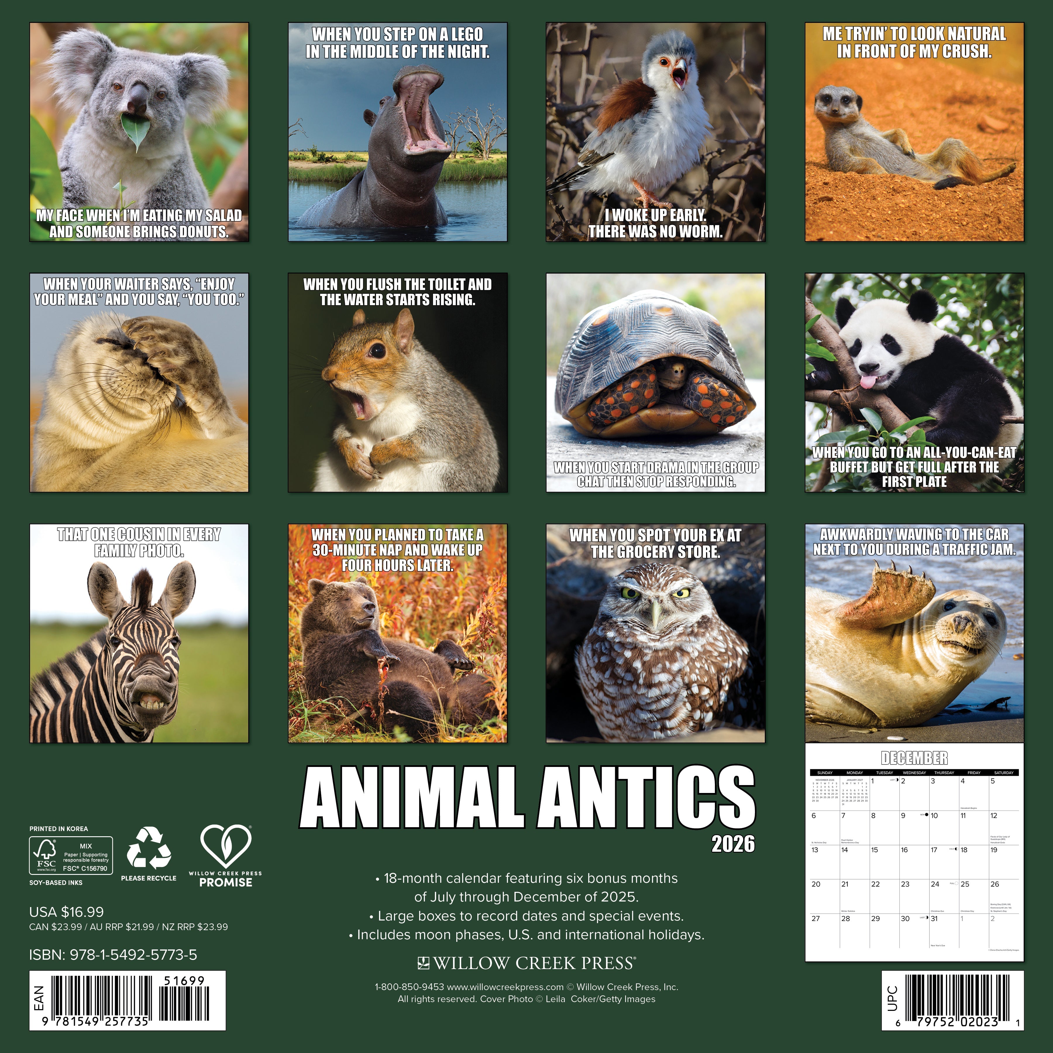 2026 Animal Antics - Square Wall Calendar