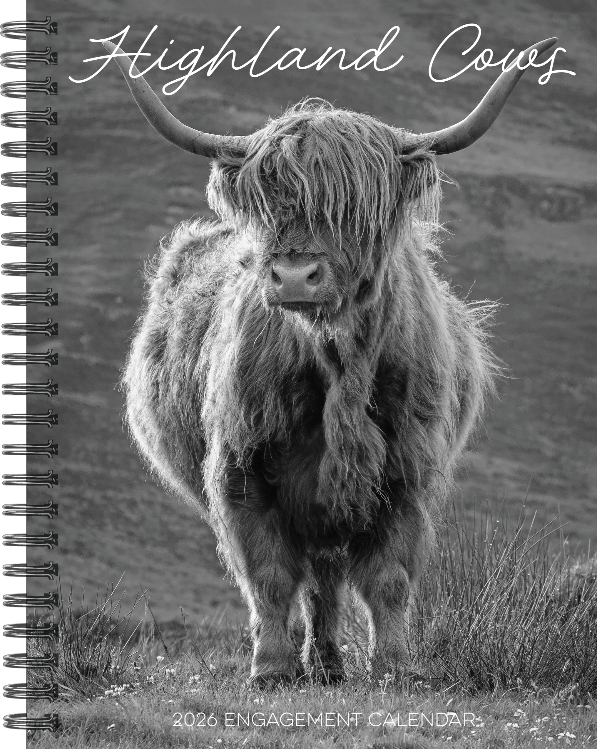 2026 Highland Cows - Weekly Diary/Planner