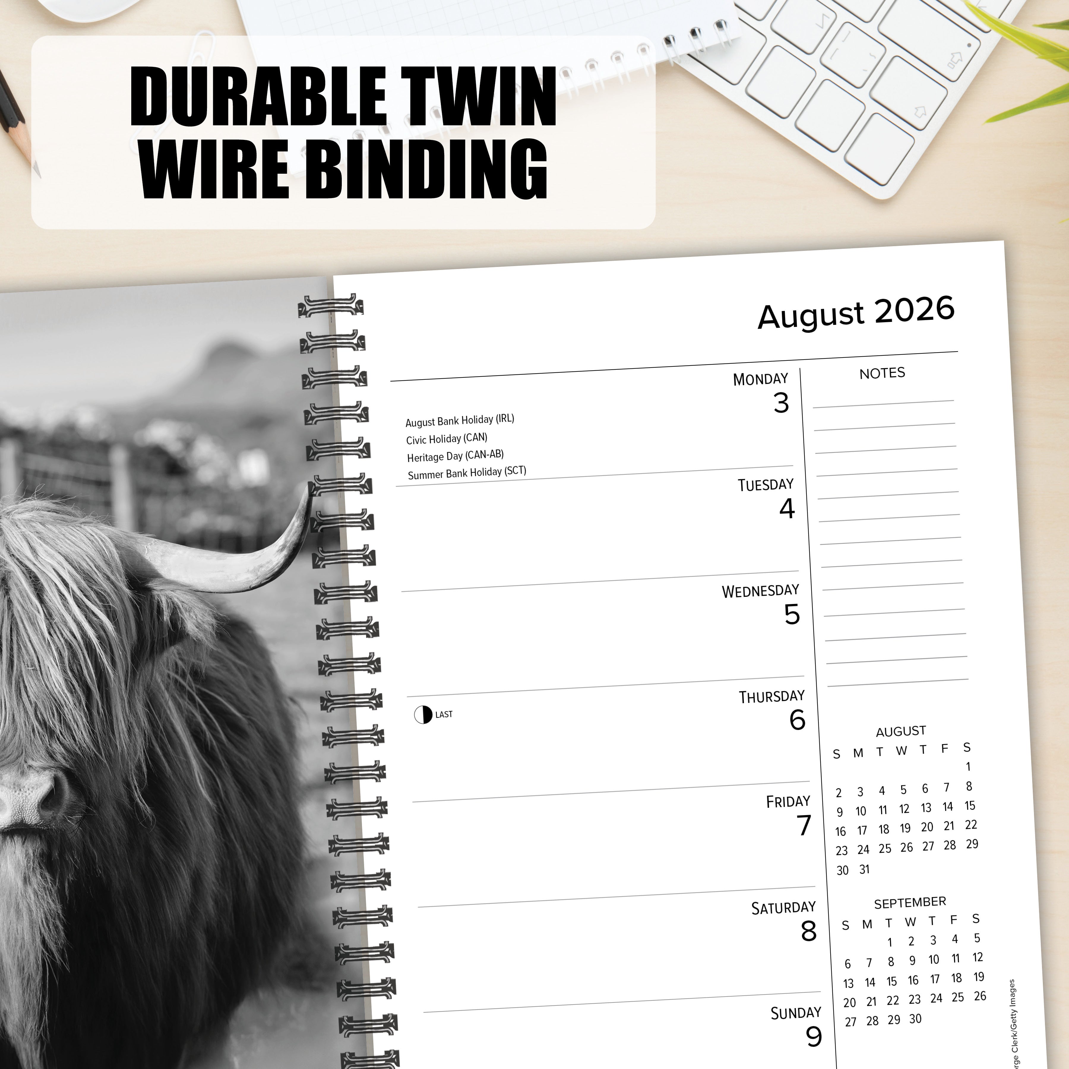 2026 Highland Cows - Weekly Diary/Planner