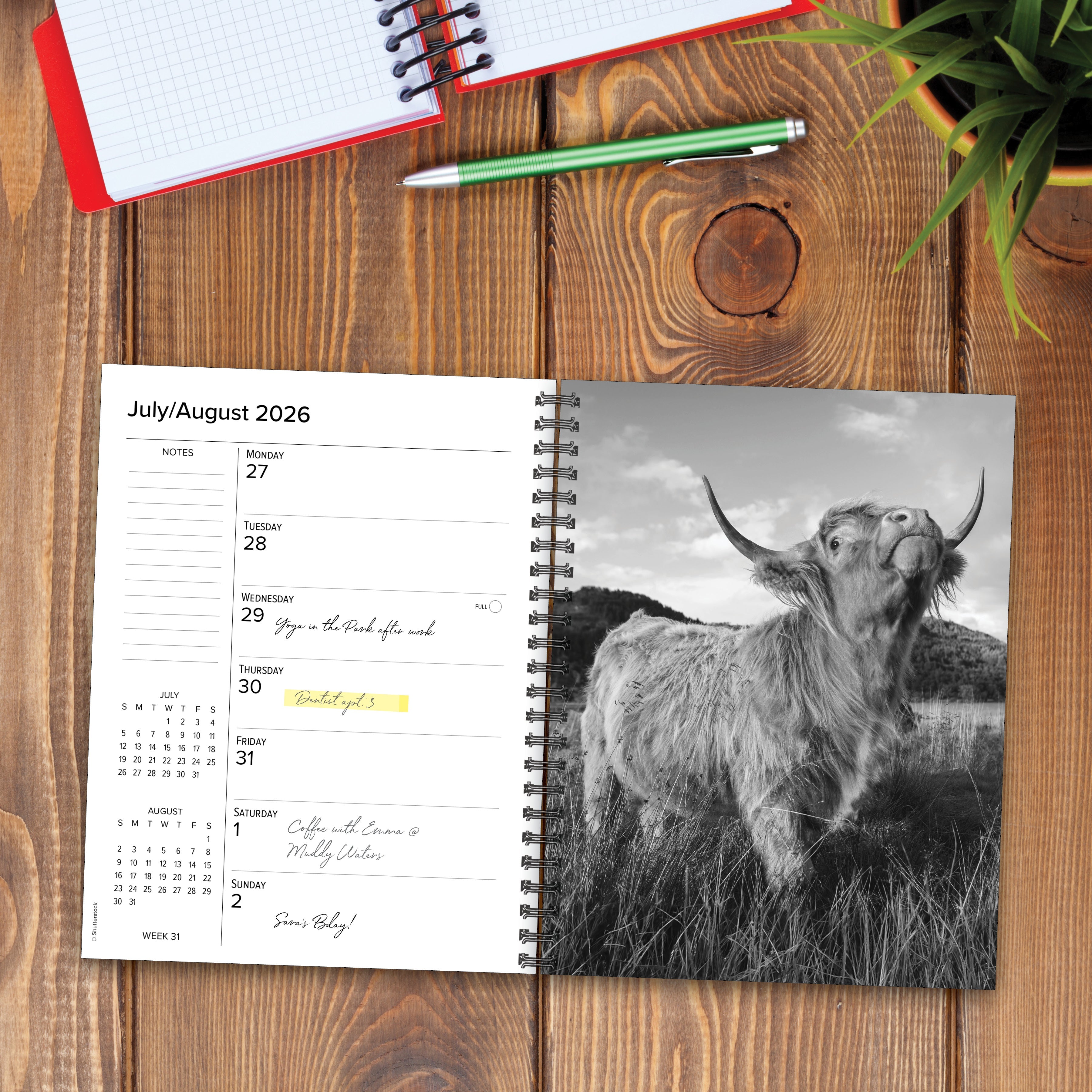 2026 Highland Cows - Weekly Diary/Planner