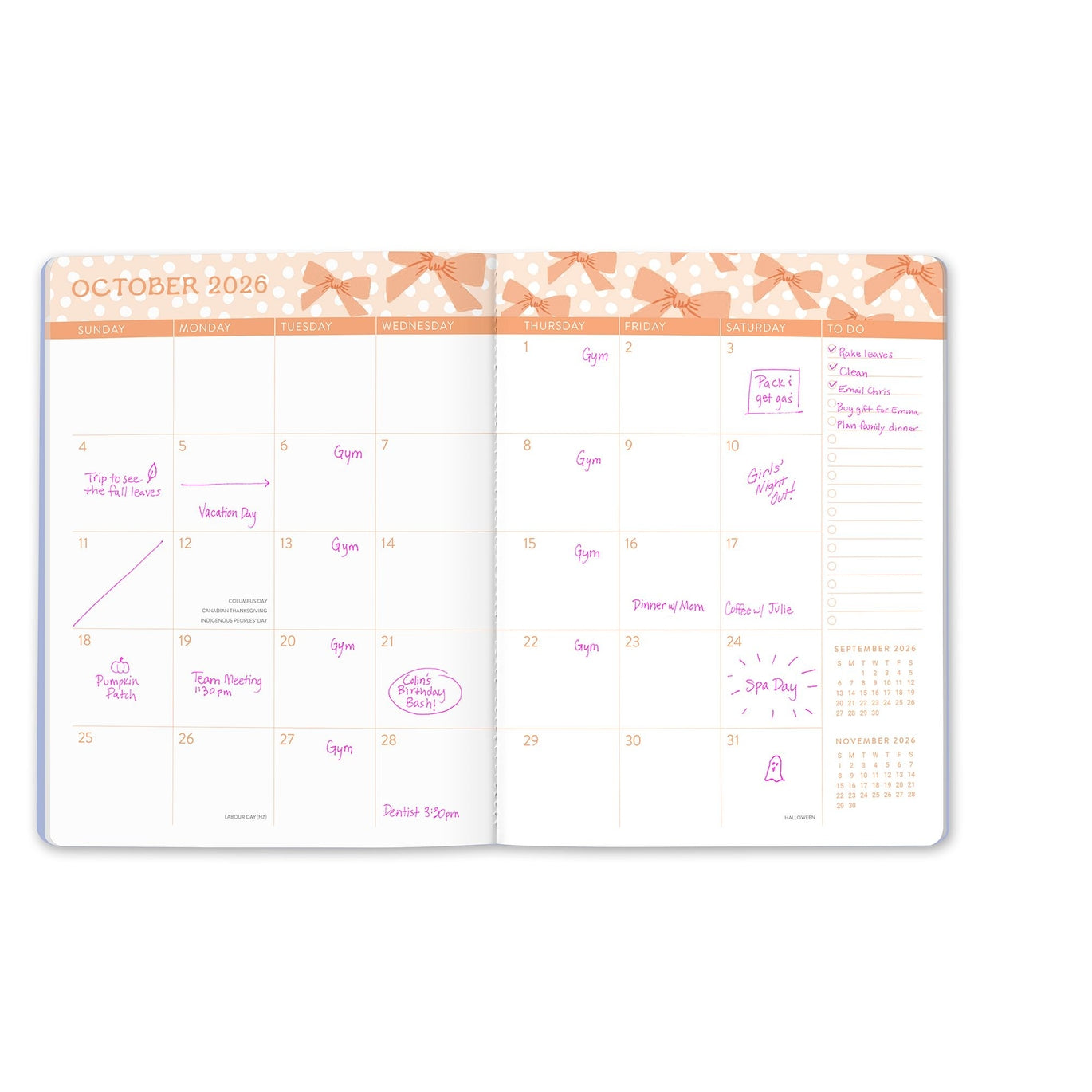 2026 Sweet Bow - Just Right 17-Month Monthly Diary/Planner