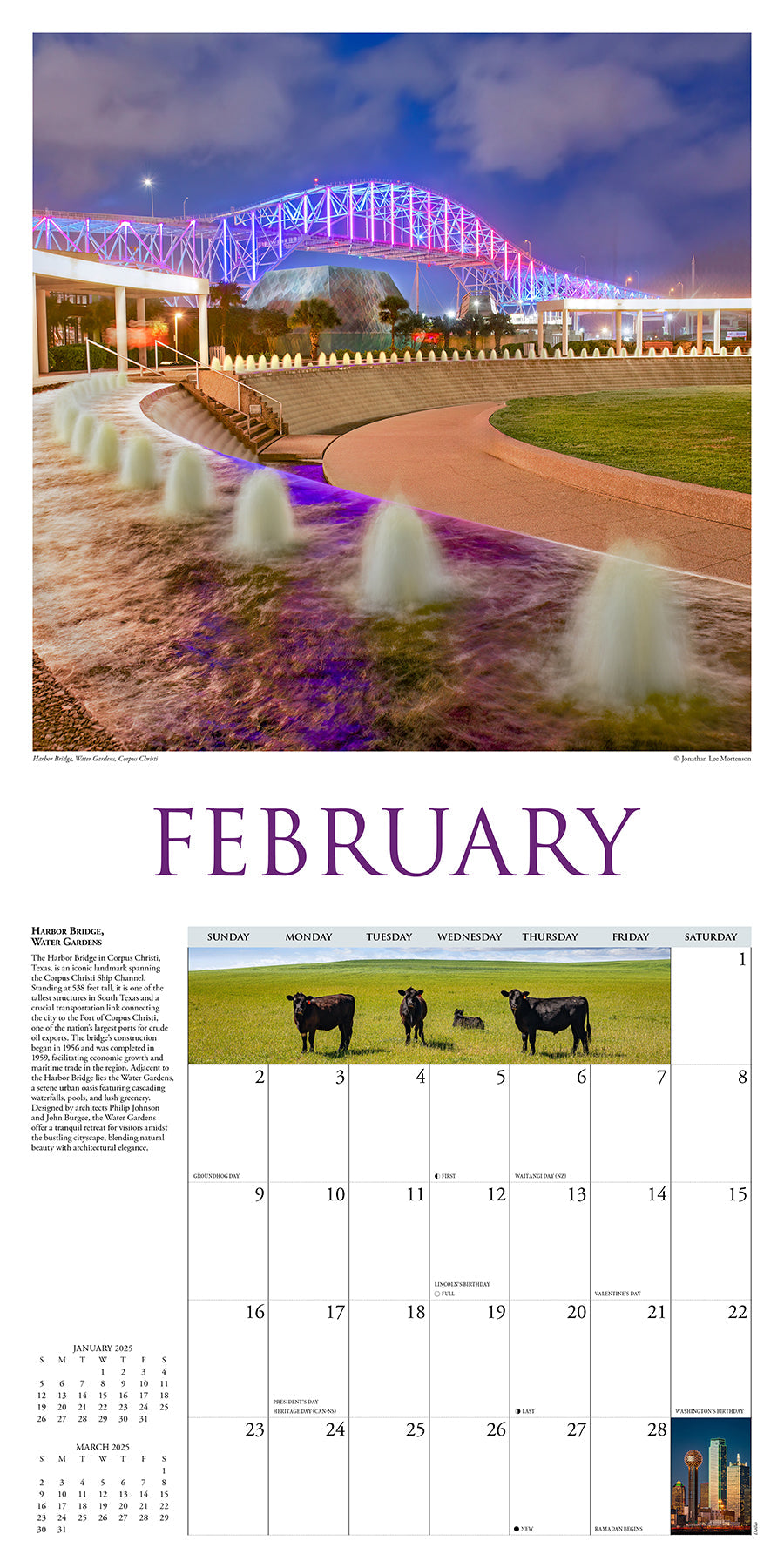 2025 Texas - Square Wall Calendar