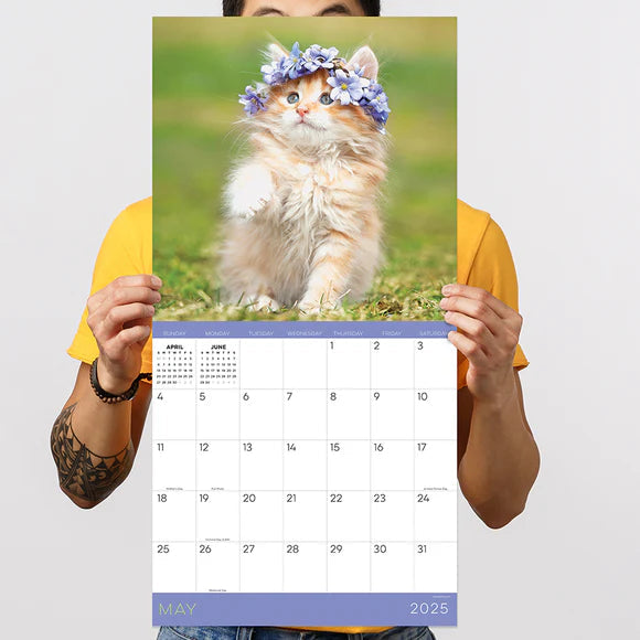 2025 Kittens - Square Wall Calendar