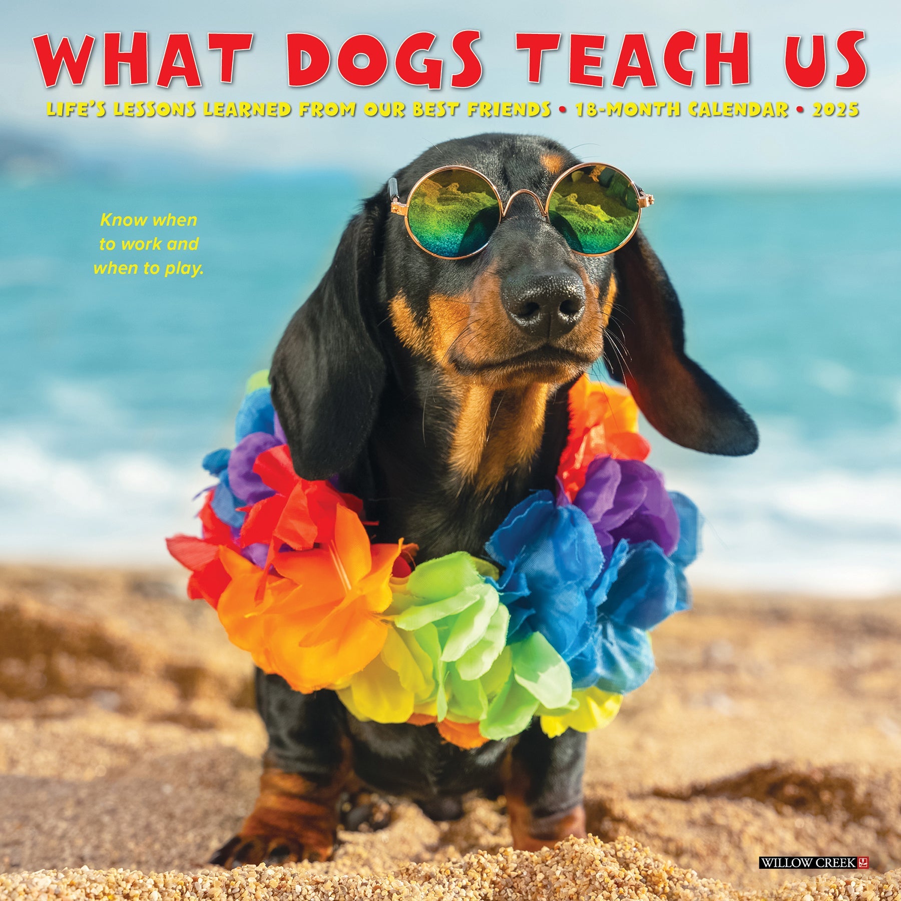 2025 What Dogs Teach Us - Mini Wall Calendar