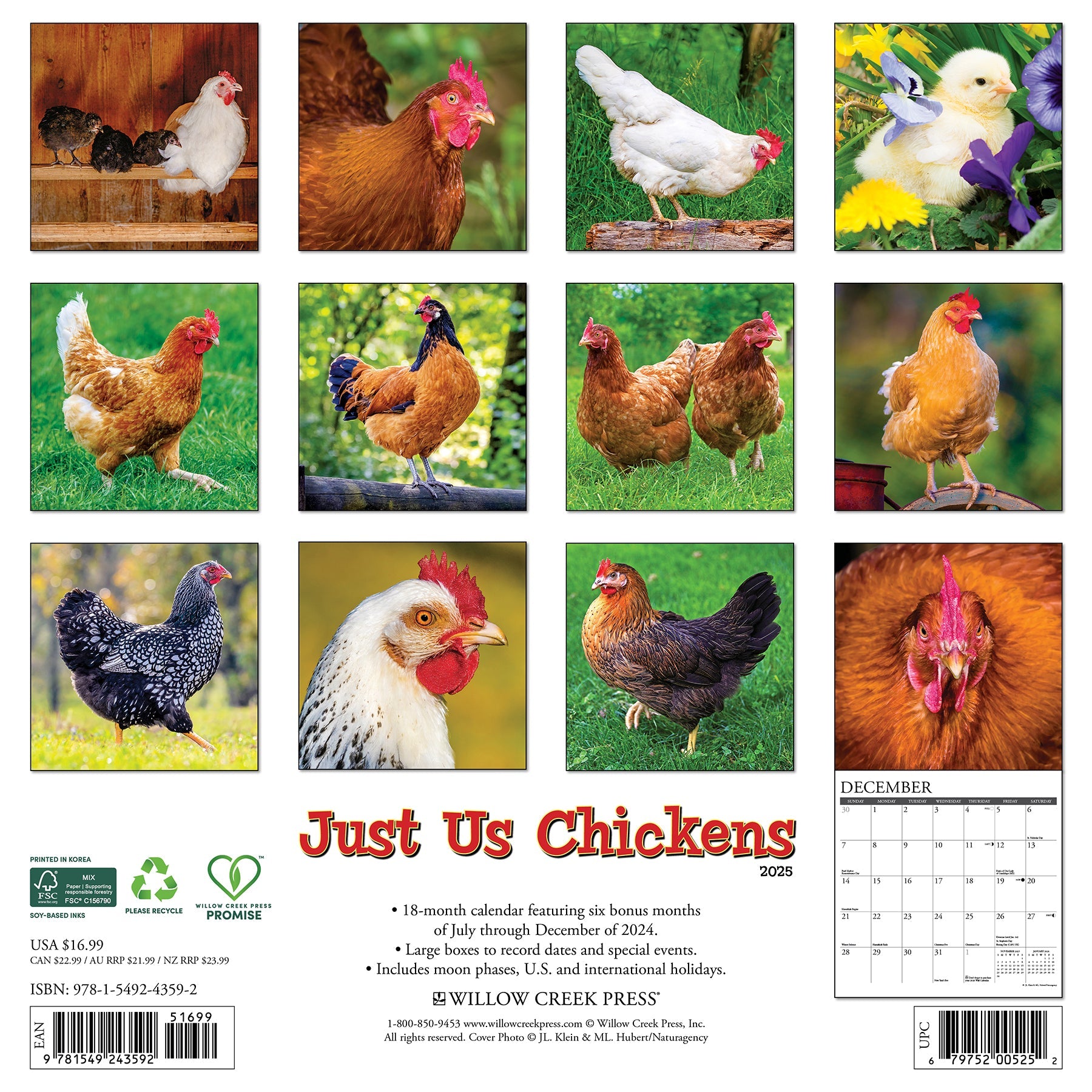 2025 Just Us Chickens - Square Wall Calendar