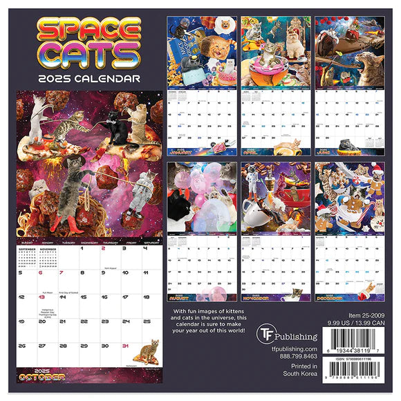 2025 Space Cats - Mini Wall Calendar