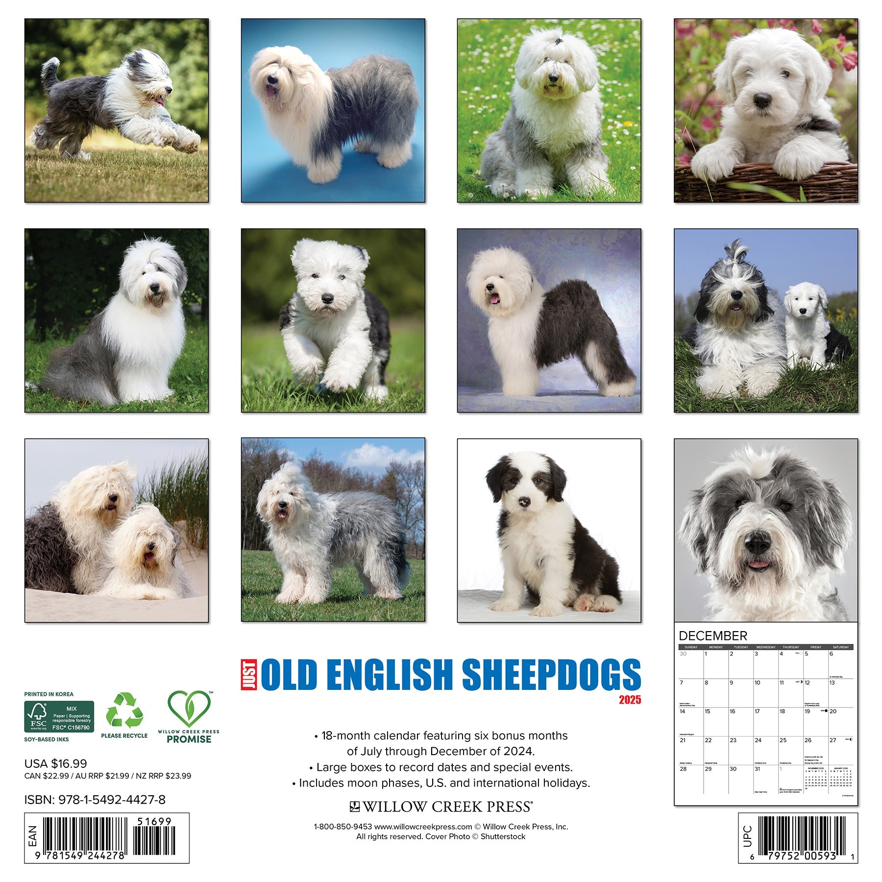 2025 Old English Sheepdogs - Square Wall Calendar