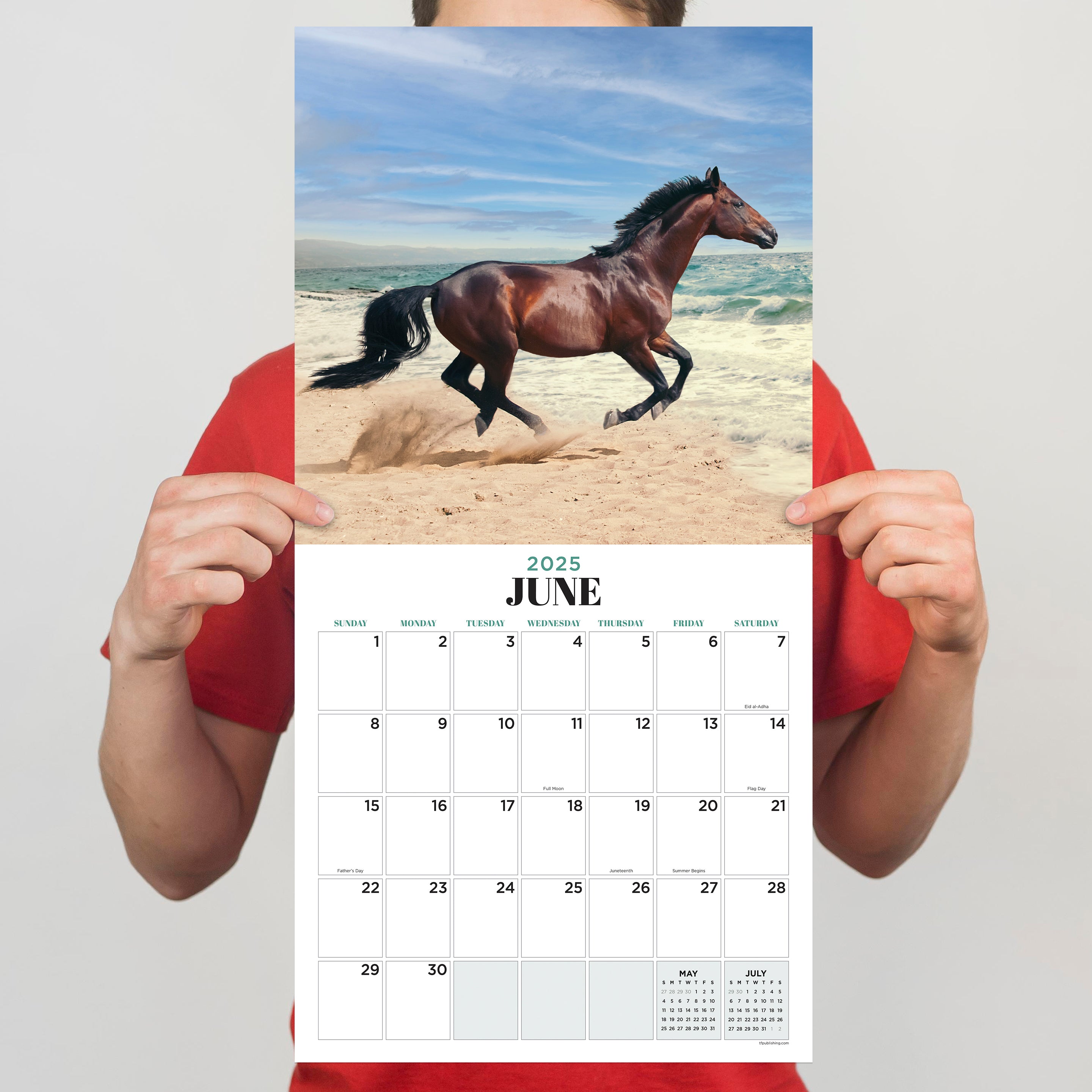 2025 Horses - Square Wall Calendar