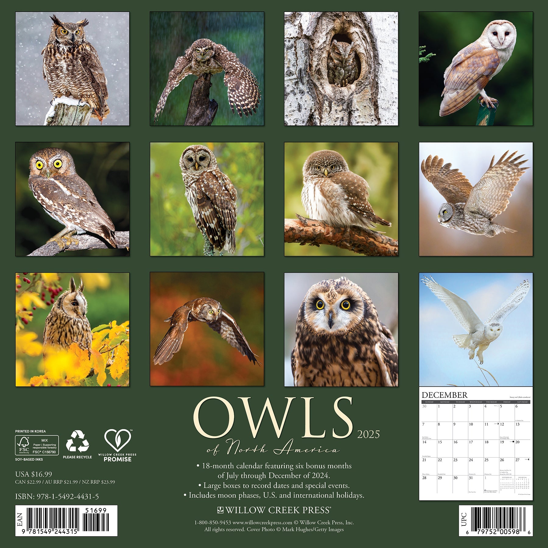 2025 Owls - Square Wall Calendar