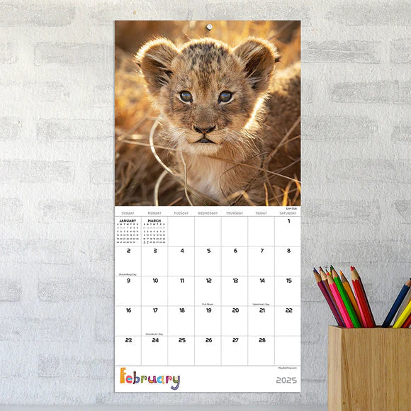 2025 Baby Animals - Mini Wall Calendar