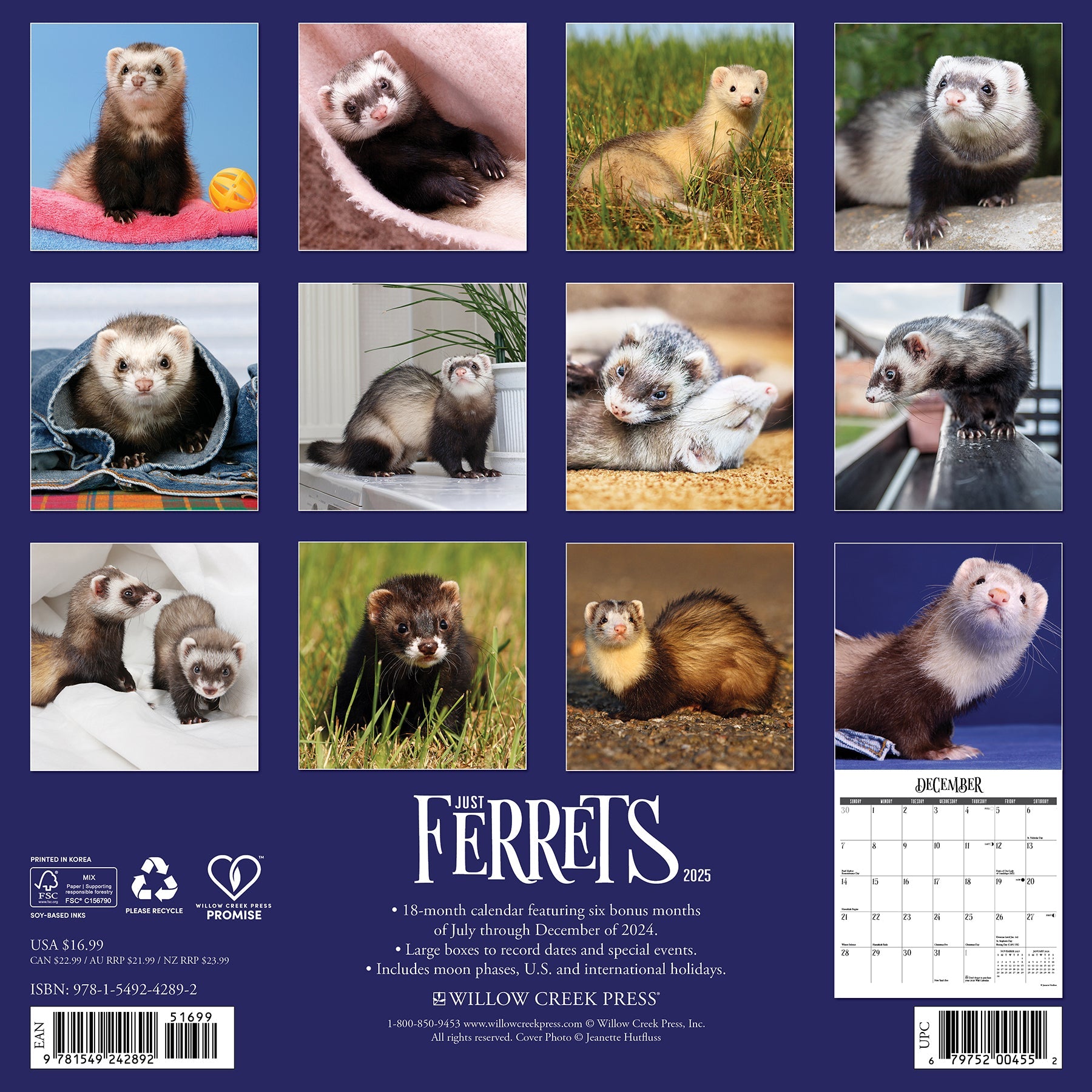 2025 Ferrets - Square Wall Calendar