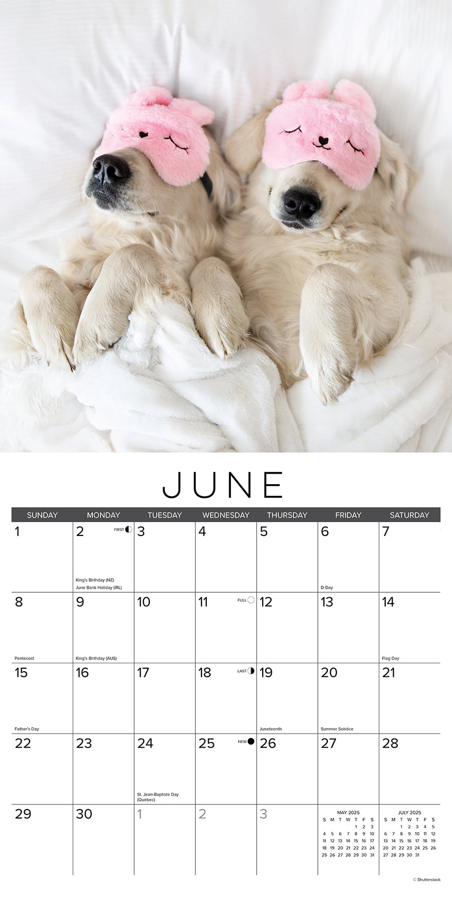 2025 Naptime: Dogs & Puppies on their Best Behavior - Square Wall Calendar