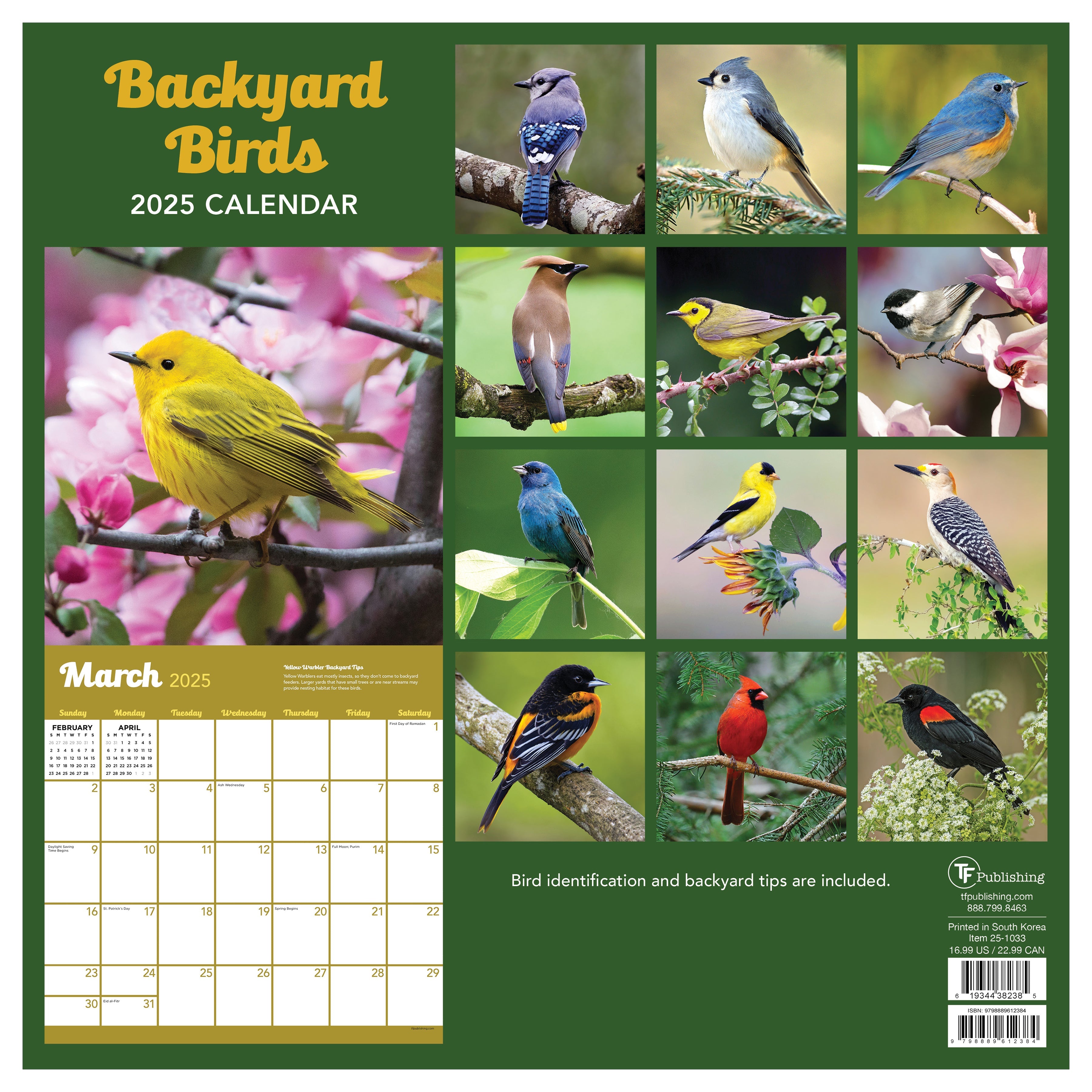 2025 Backyard Birds - Square Wall Calendar