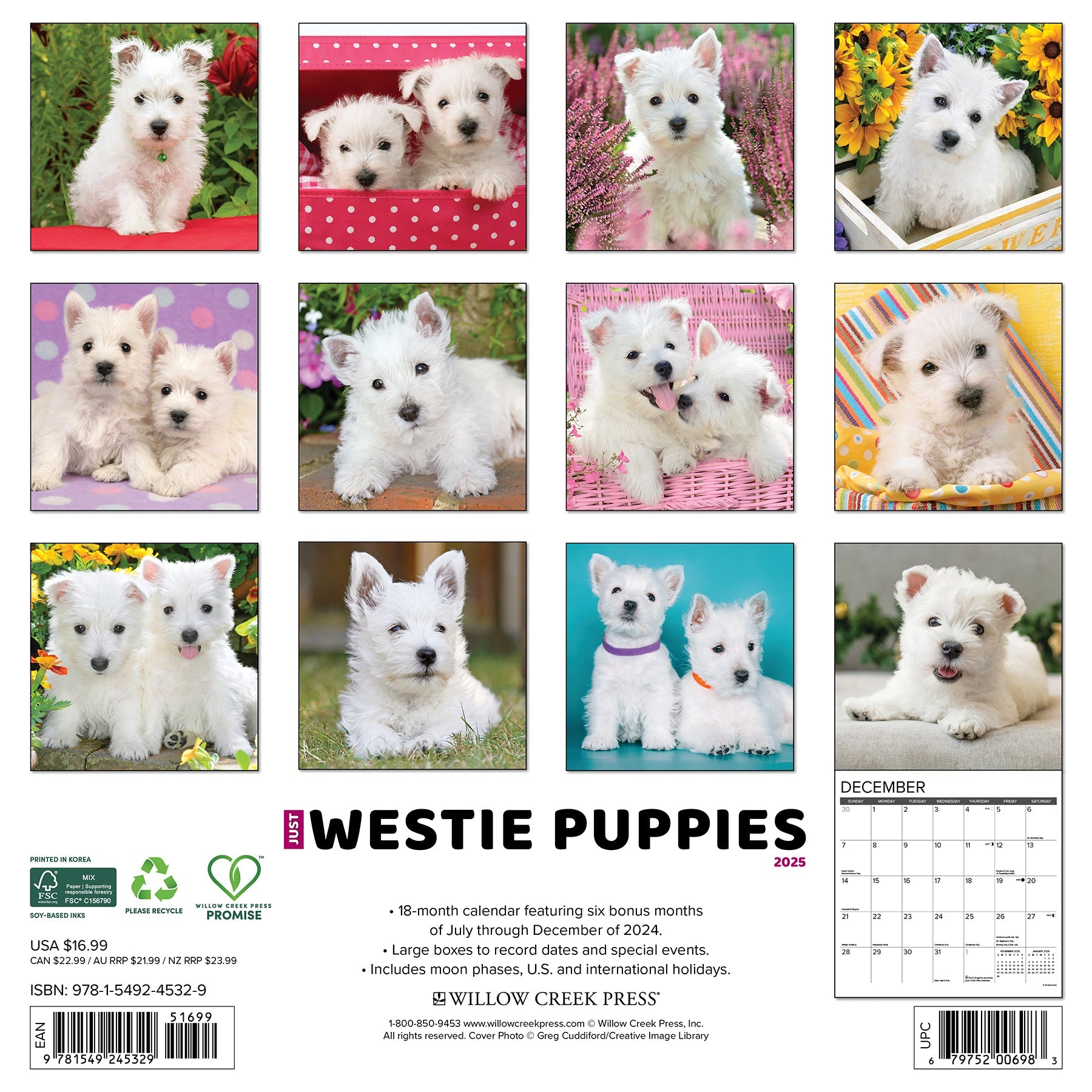 2025 Westie Puppies - Square Wall Calendar