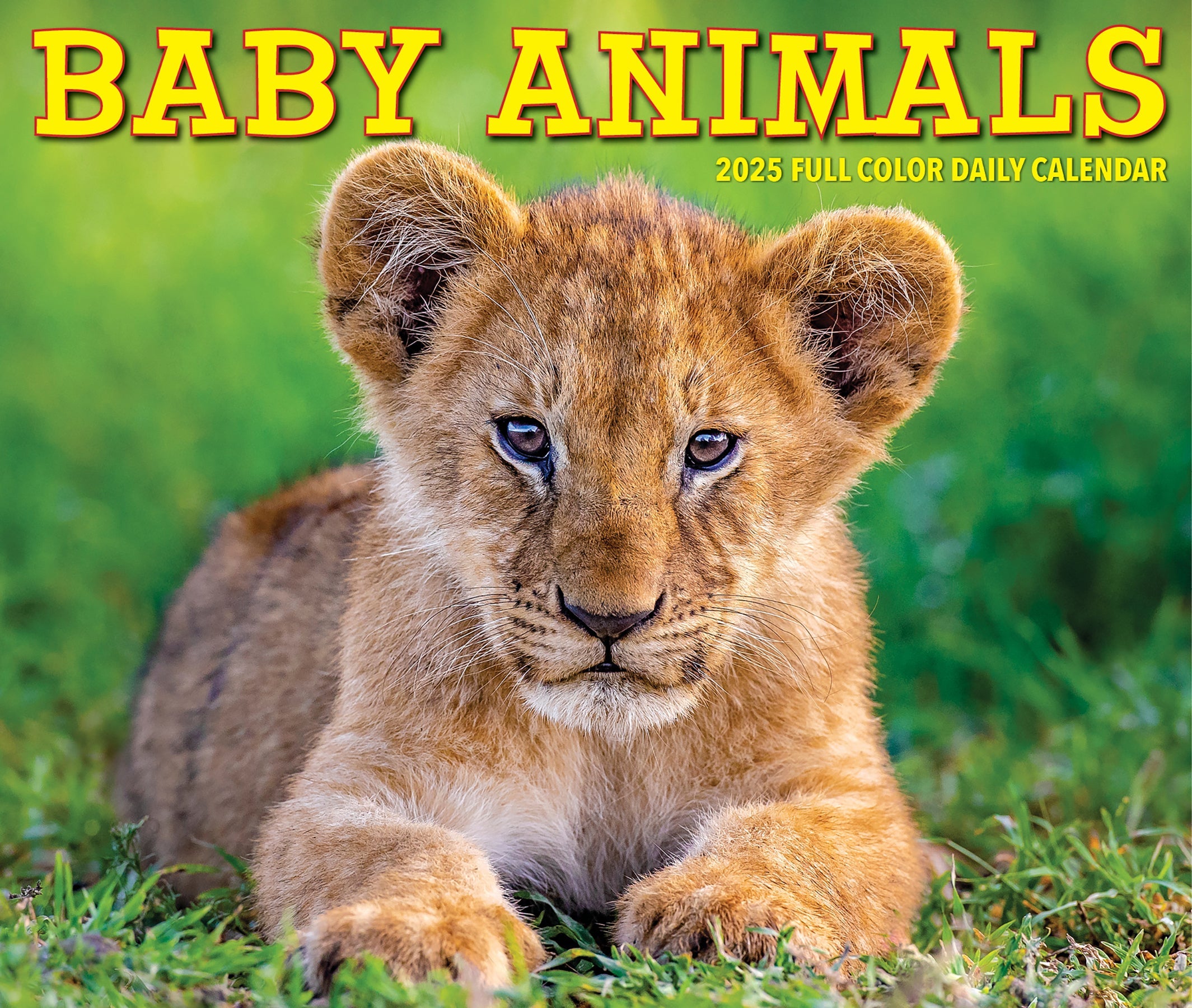 2025 Baby Animals - Daily Boxed Page-A-Day Calendar