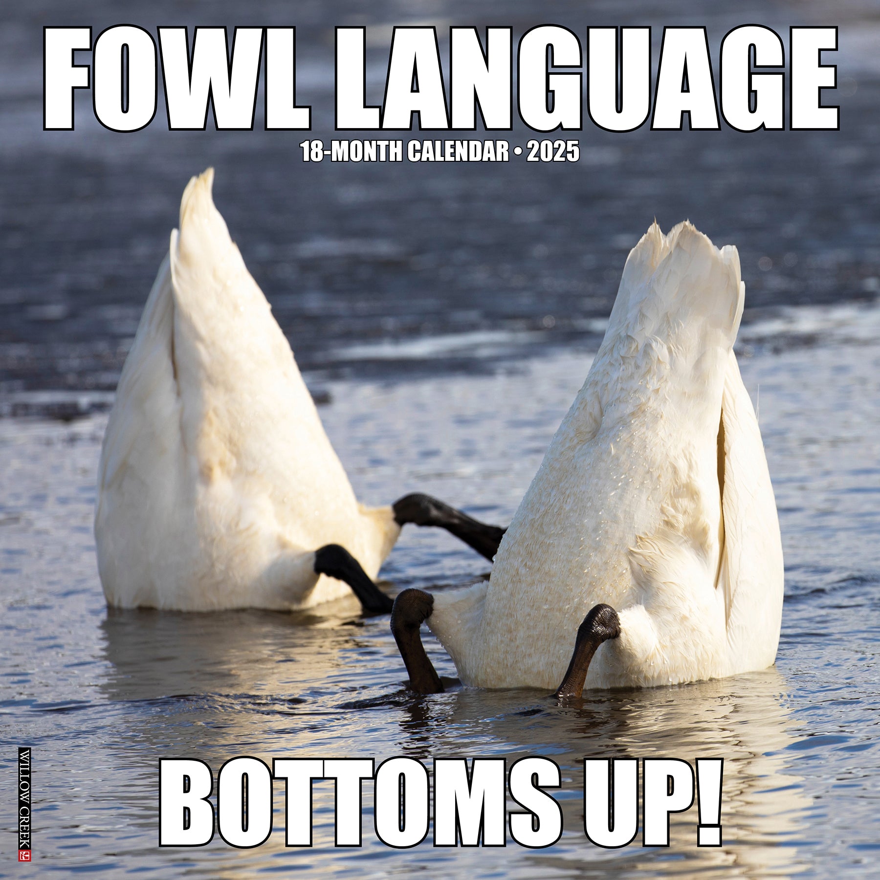 2025 Fowl Language - Square Wall Calendar