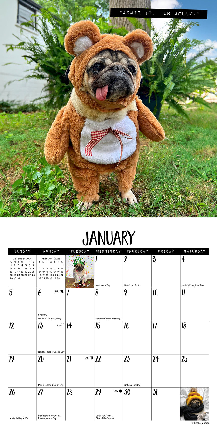 2025 Doug the Pug - Mini Wall Calendar