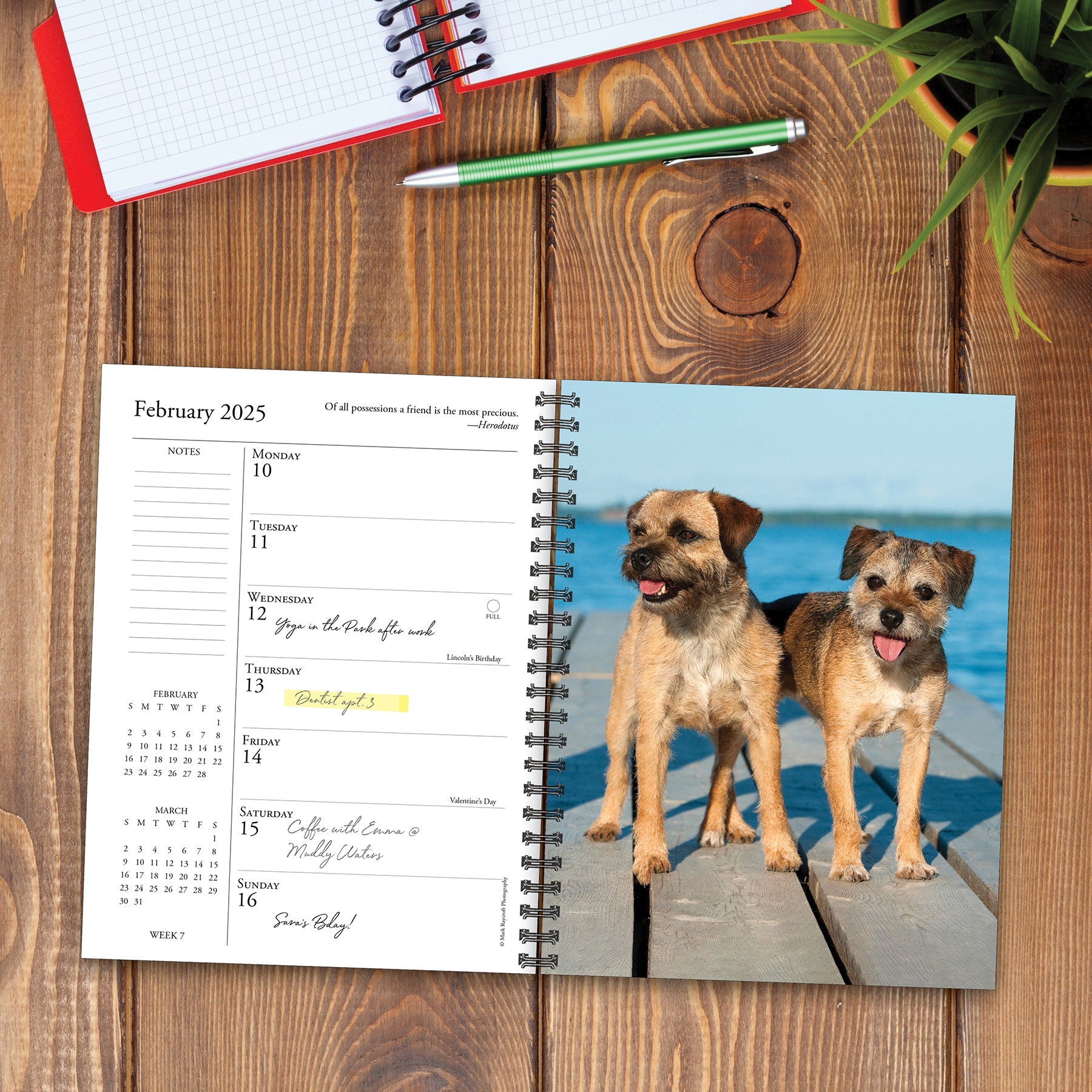 2025 What Dogs Teach Us - Weekly Diary/Planner