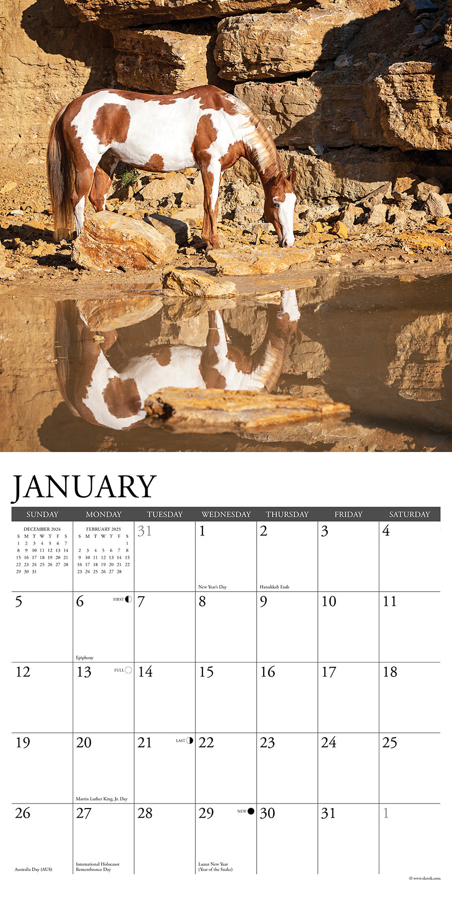 2025 Paint Horses - Square Wall Calendar