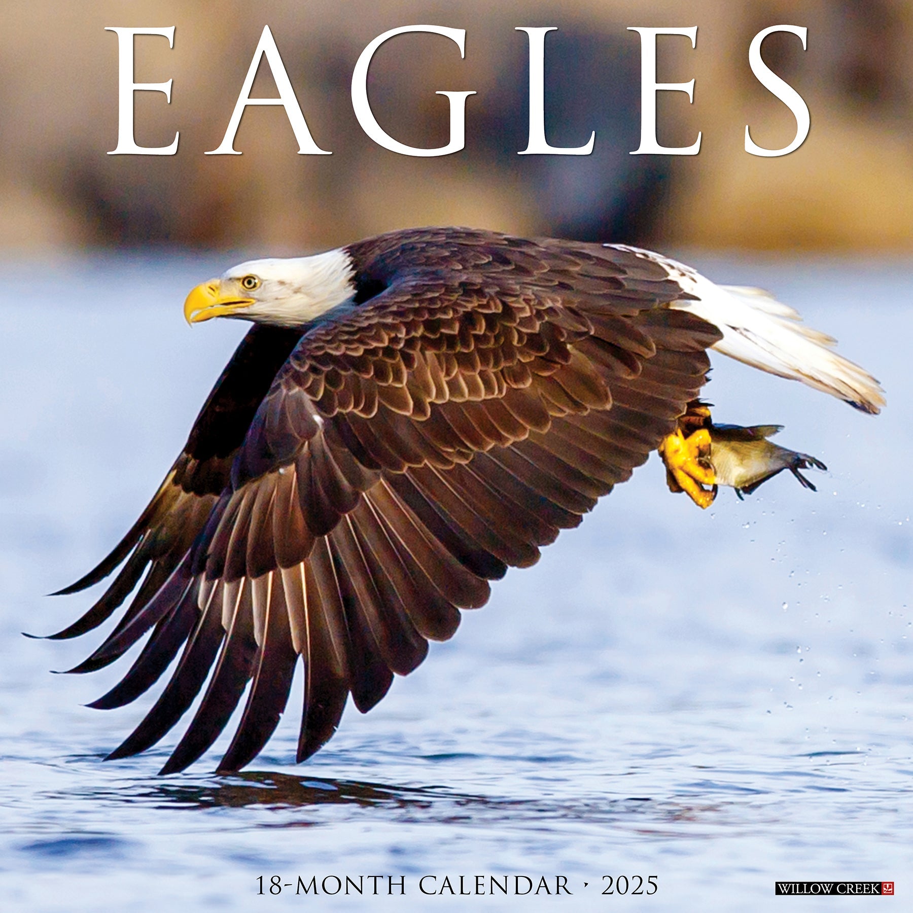 2025 Eagles - Square Wall Calendar