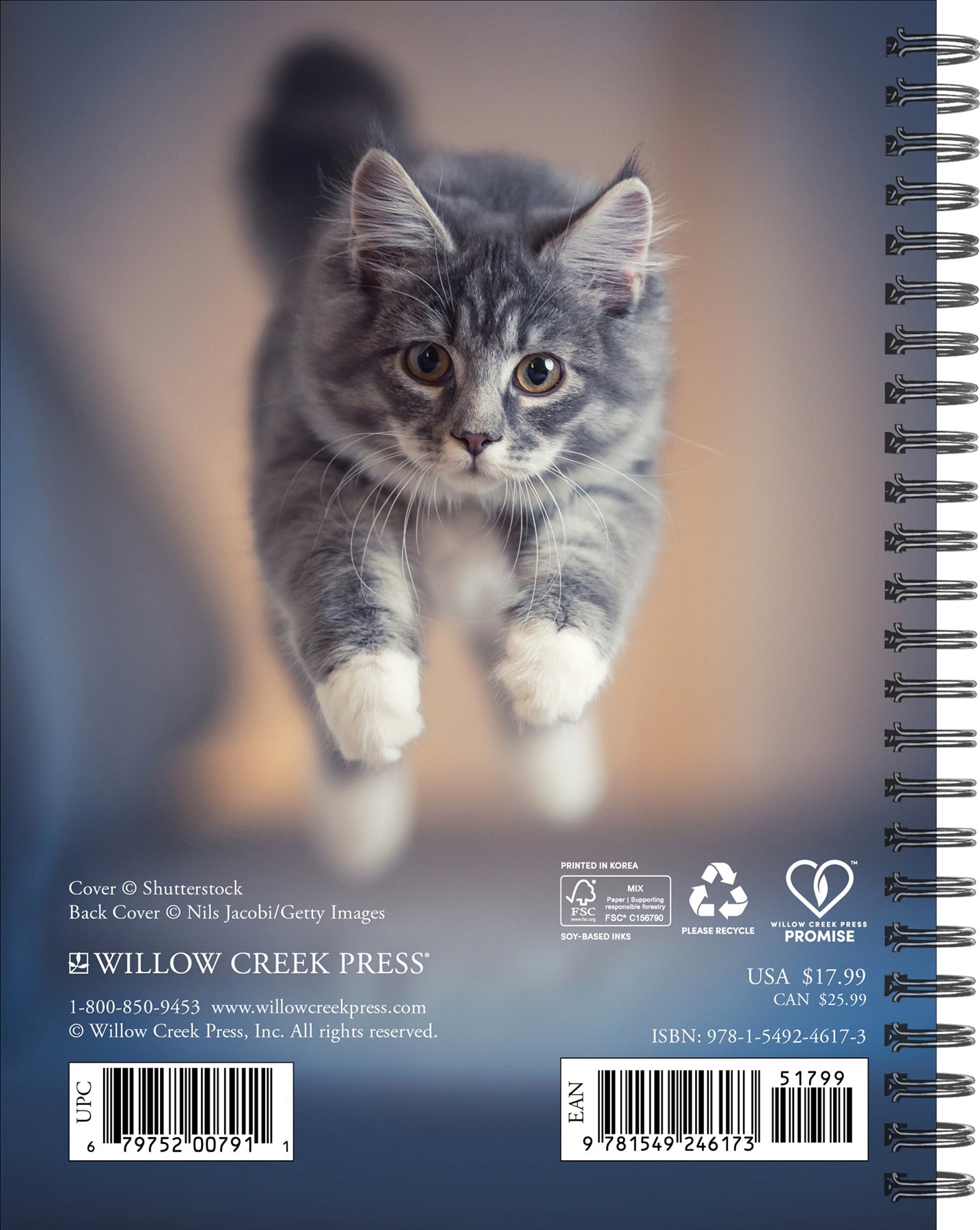 2025 What Cats Teach Us - Weekly Diary/Planner