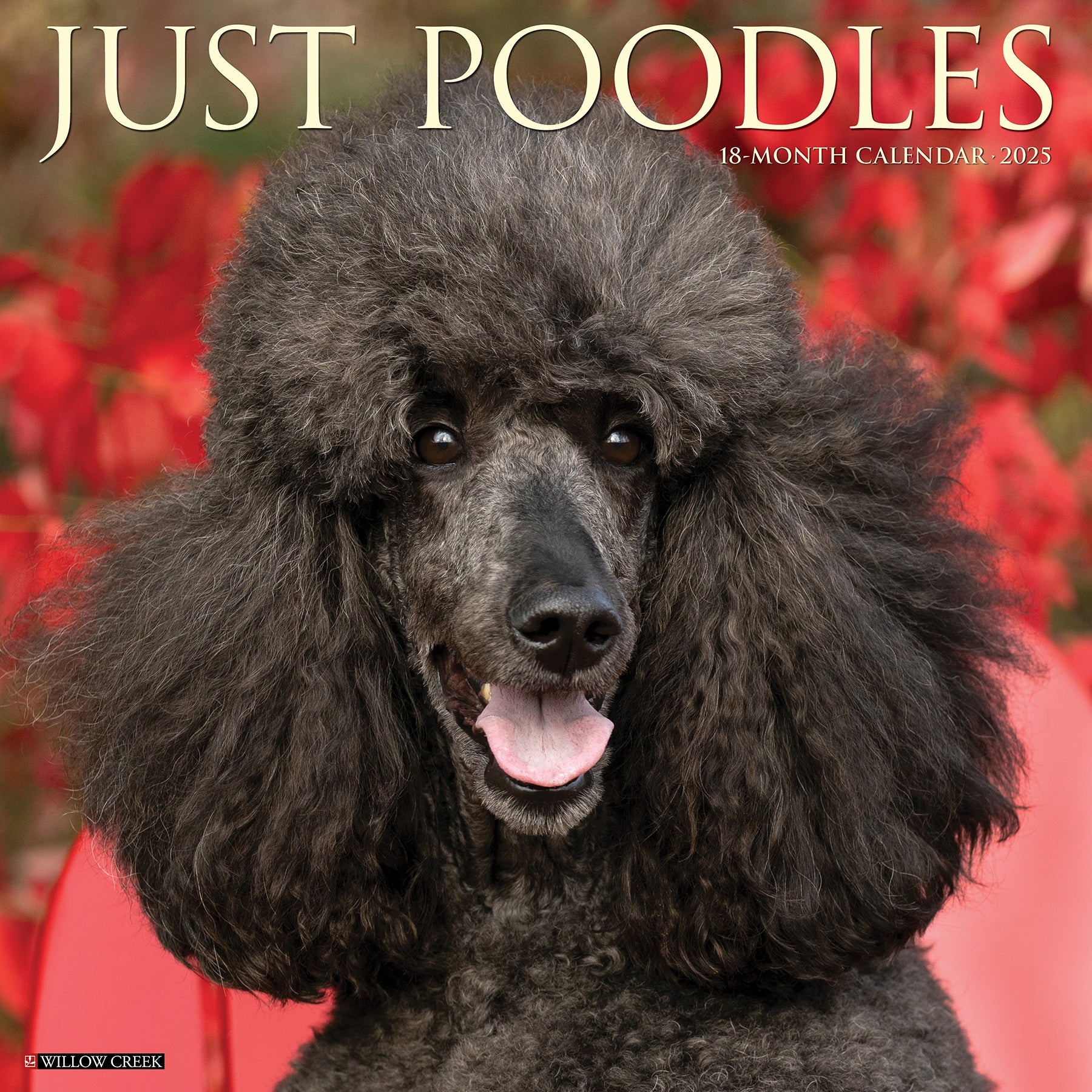 2025 Poodles - Square Wall Calendar