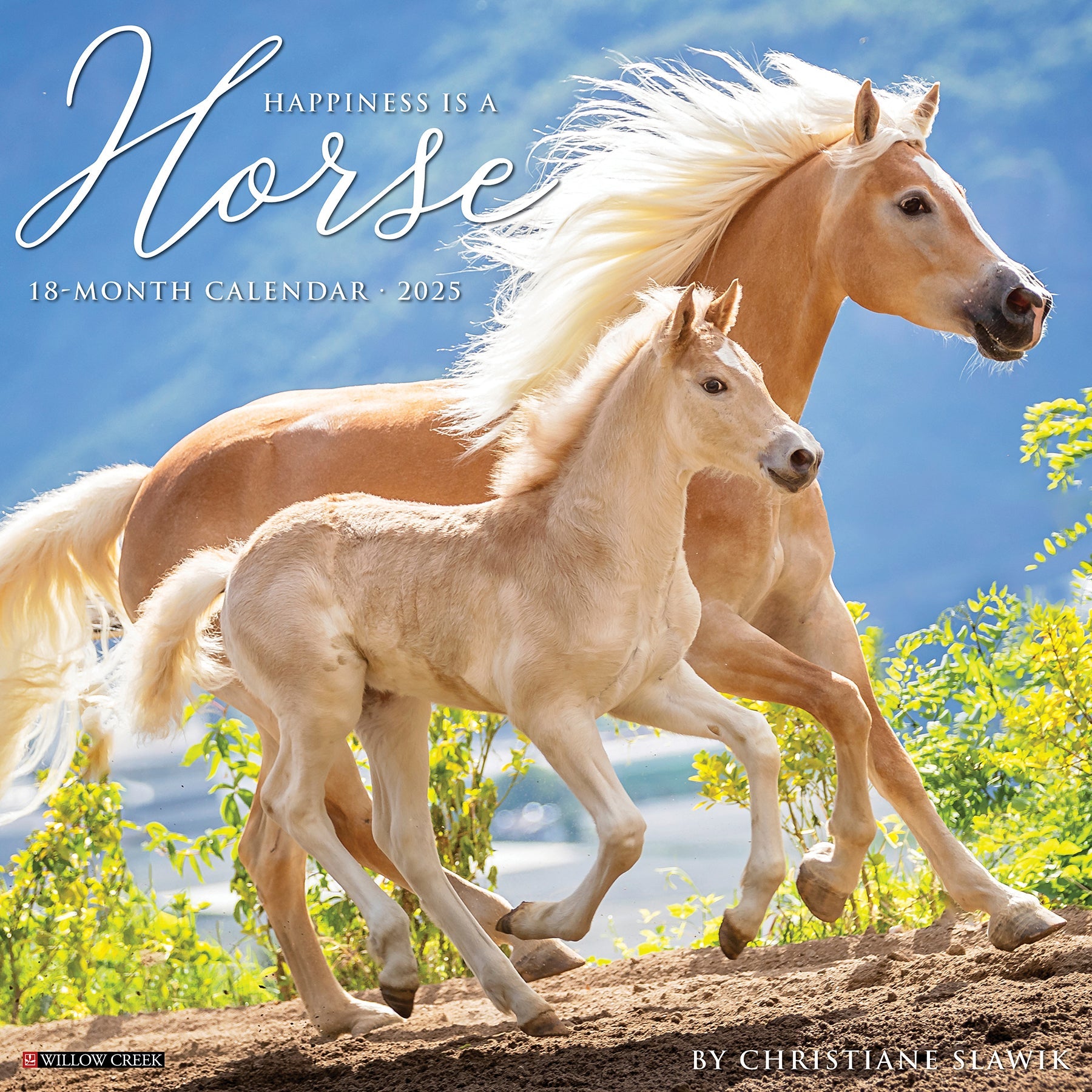 2025 Happiness is a Horse - Square Wall Calendar