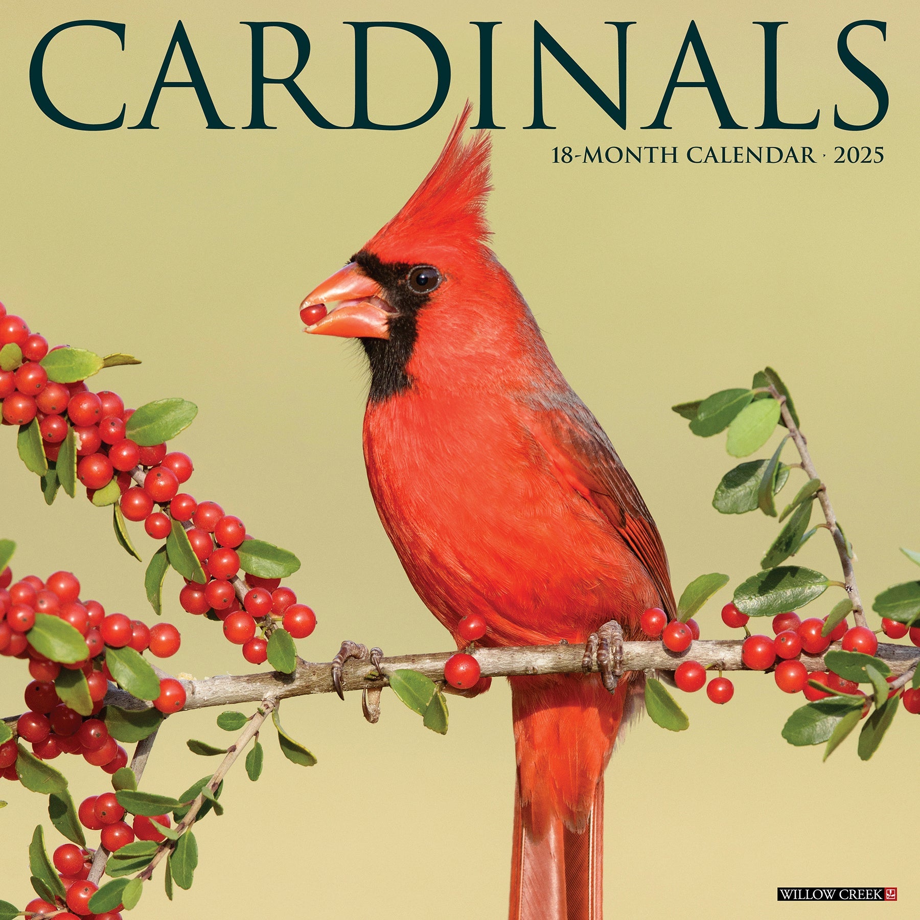 2025 Cardinals - Square Wall Calendar