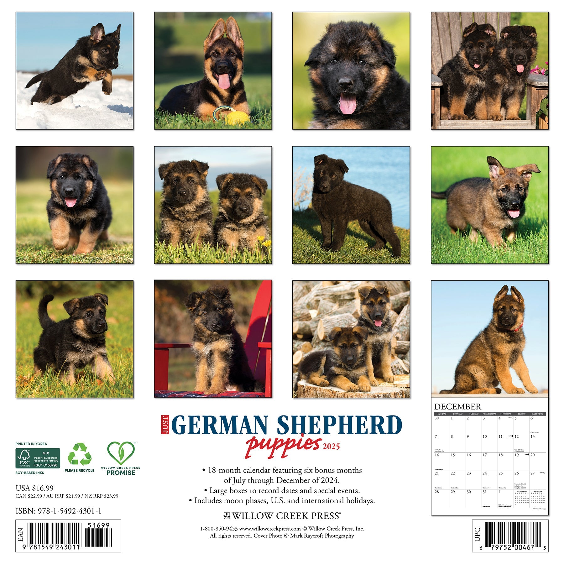 2025 German Shepherd Puppies - Square Wall Calendar