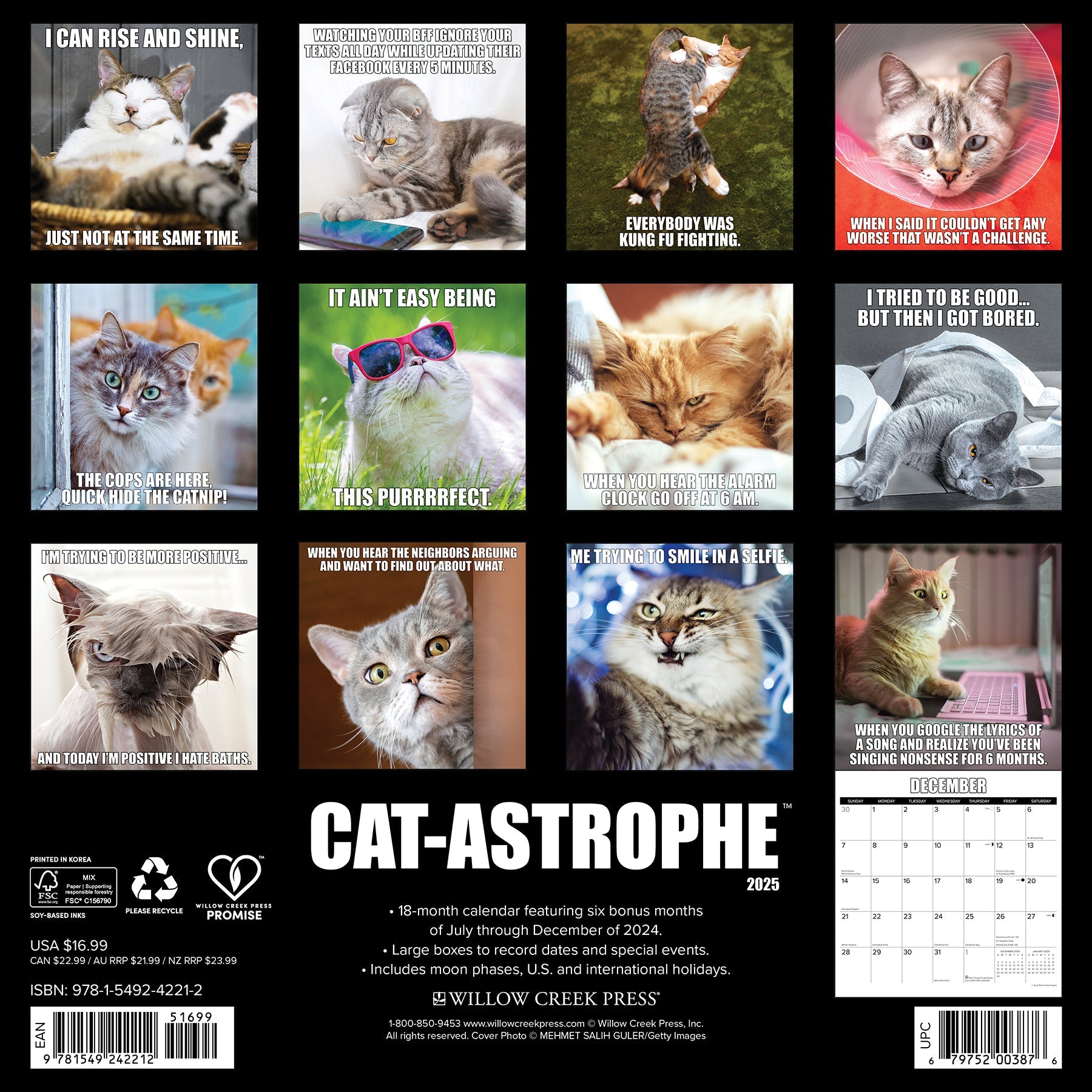 2025 Cat-astrophe - Square Wall Calendar
