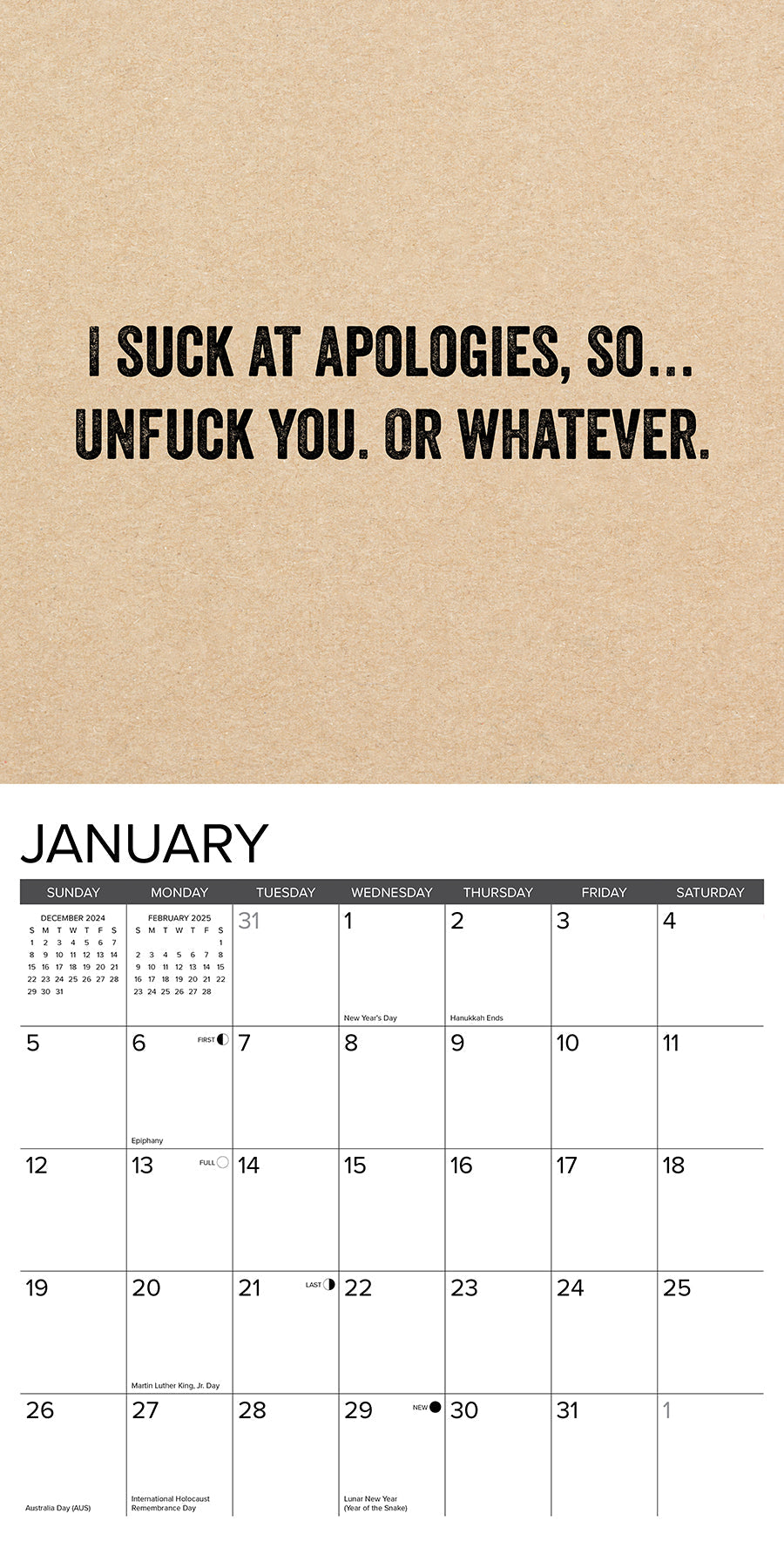 2025 F*CK IT - Square Wall Calendar