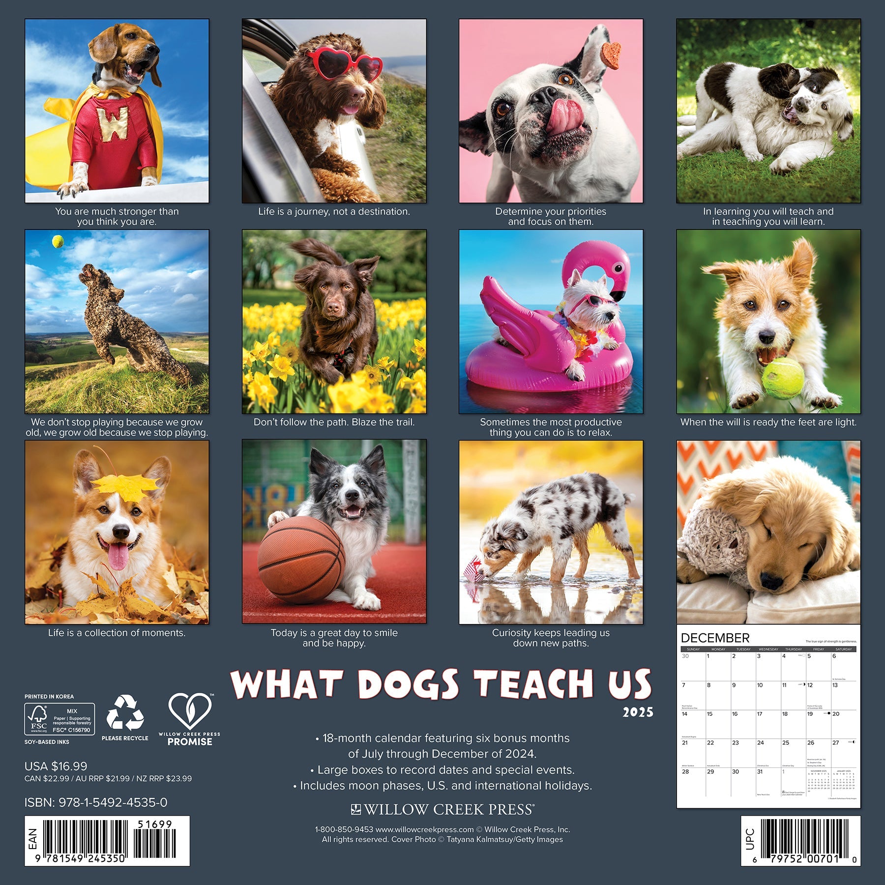2025 What Dogs Teach Us - Square Wall Calendar