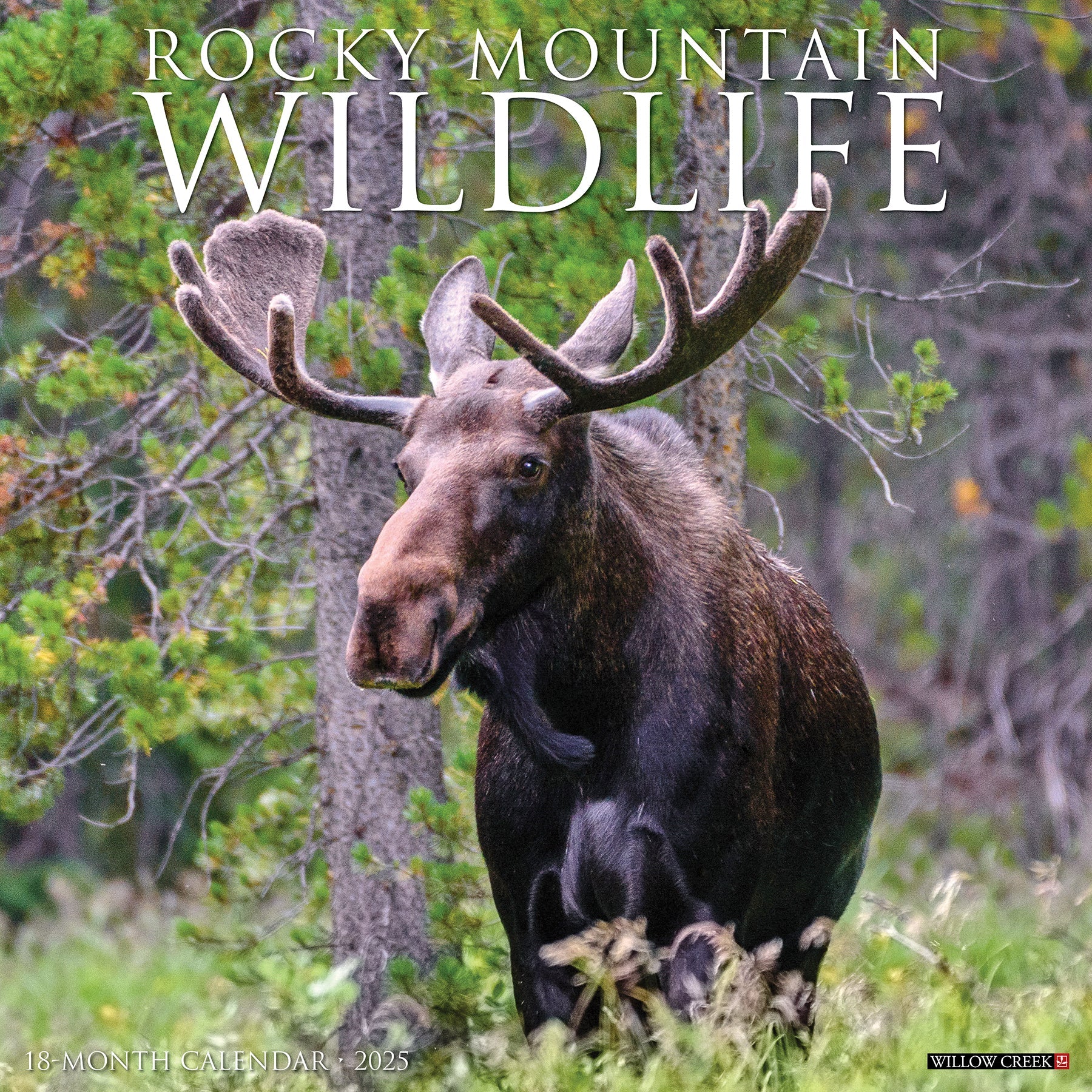 2025 Rocky Mountain Wildlife - Square Wall Calendar