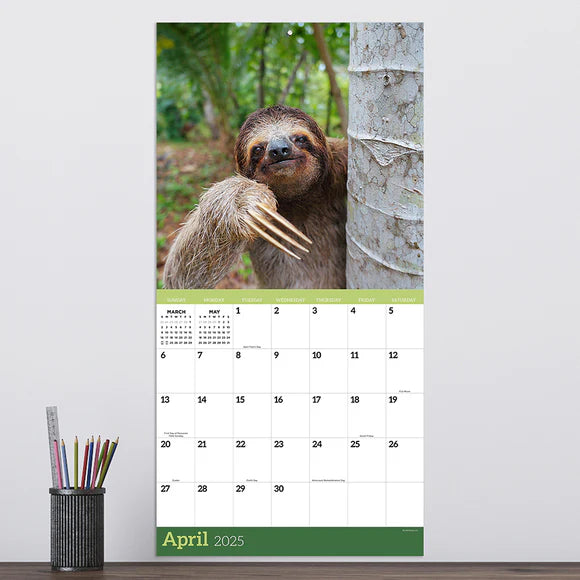 2025 Sloths - Square Wall Calendar