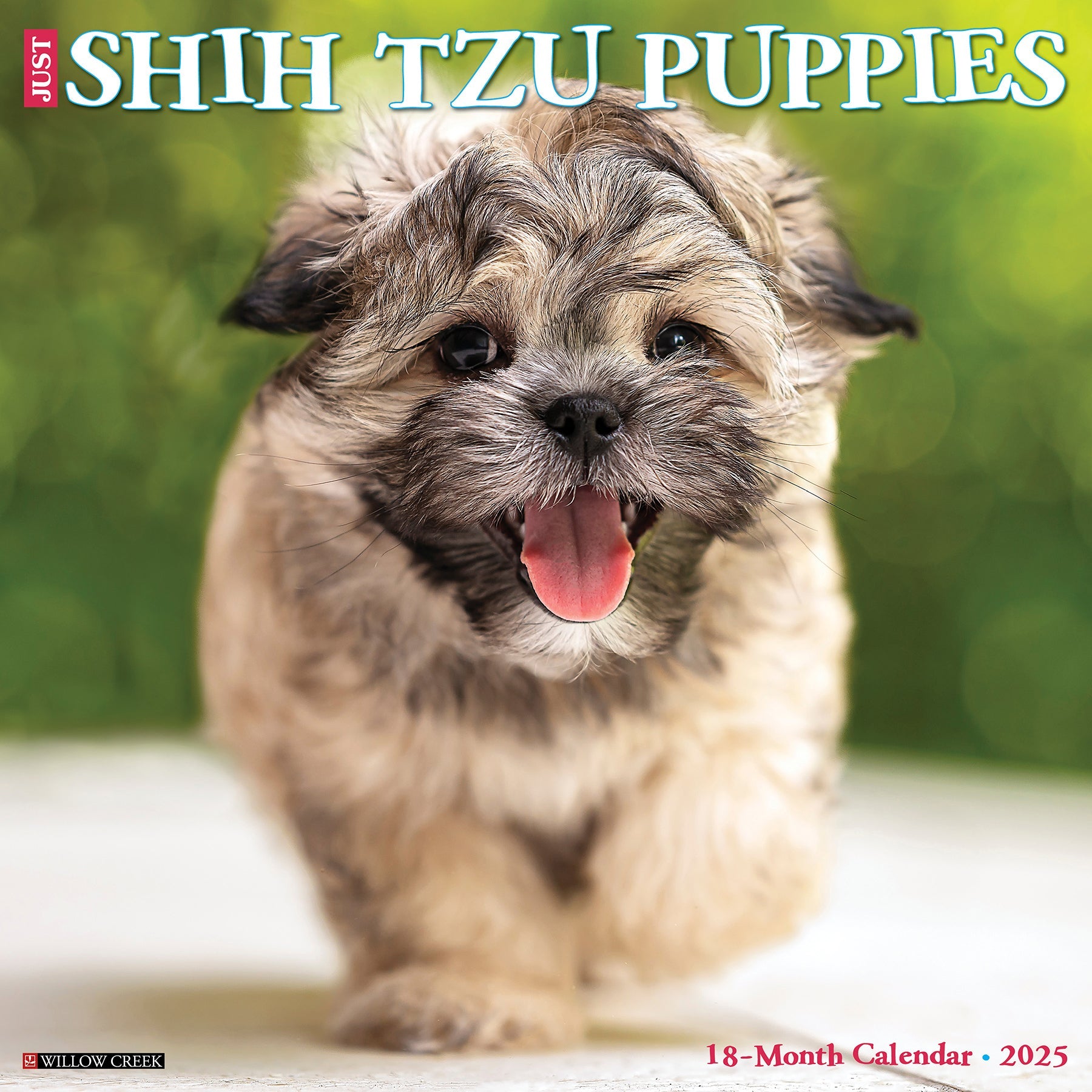 2025 Shih Tzu Puppies - Square Wall Calendar