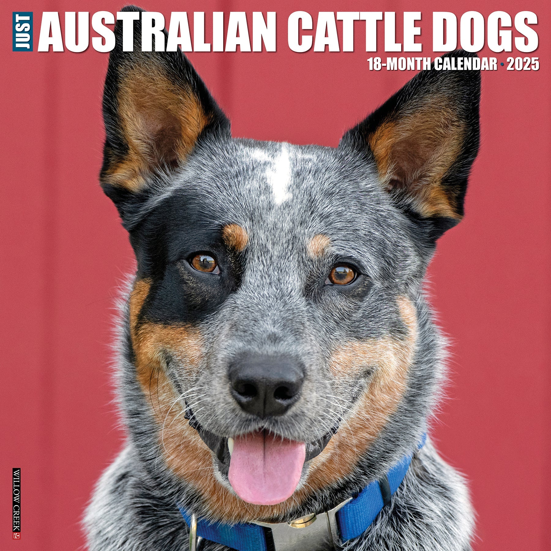 2025 Australian Cattle Dogs - Square Wall Calendar