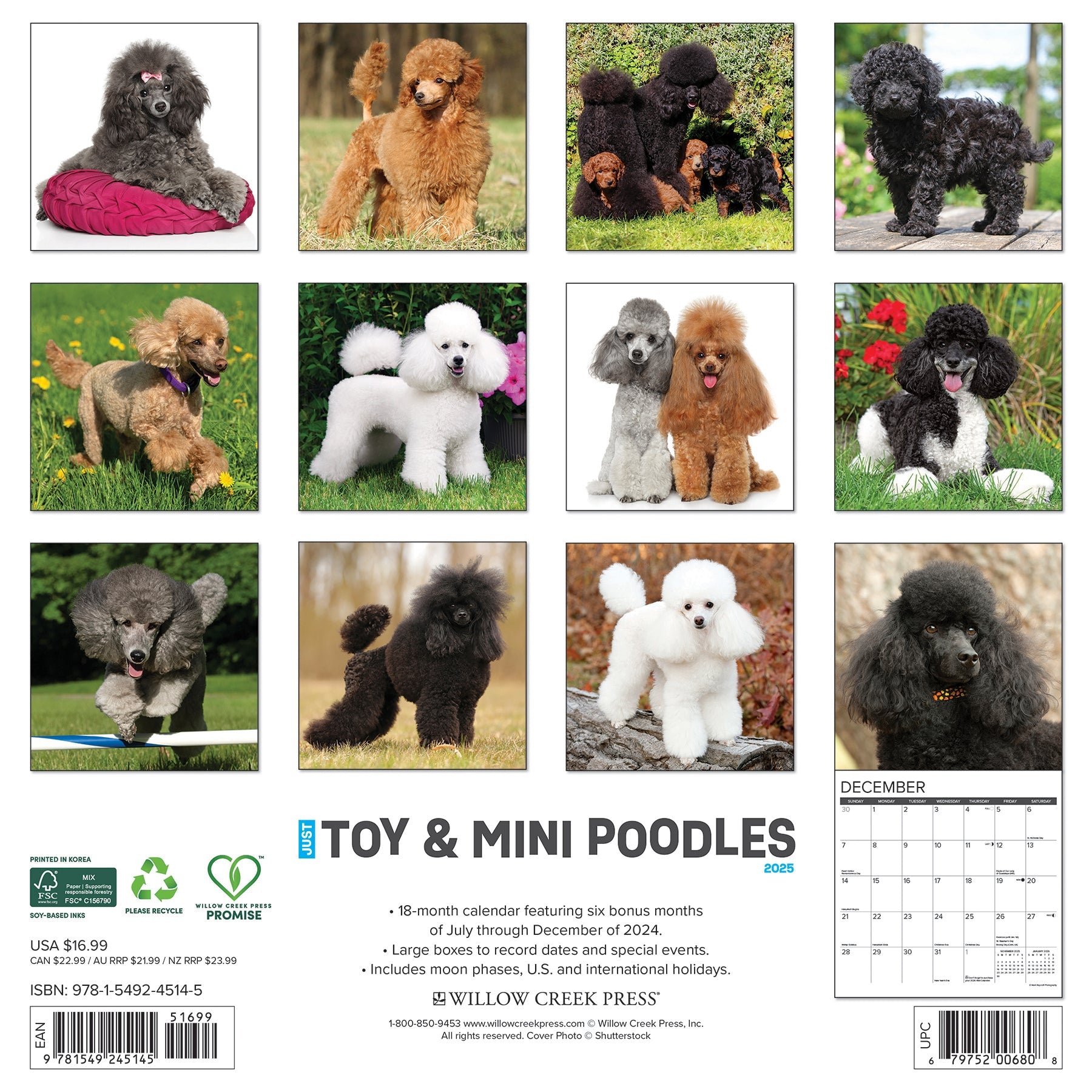 2025 Toy & Miniature Poodles - Square Wall Calendar