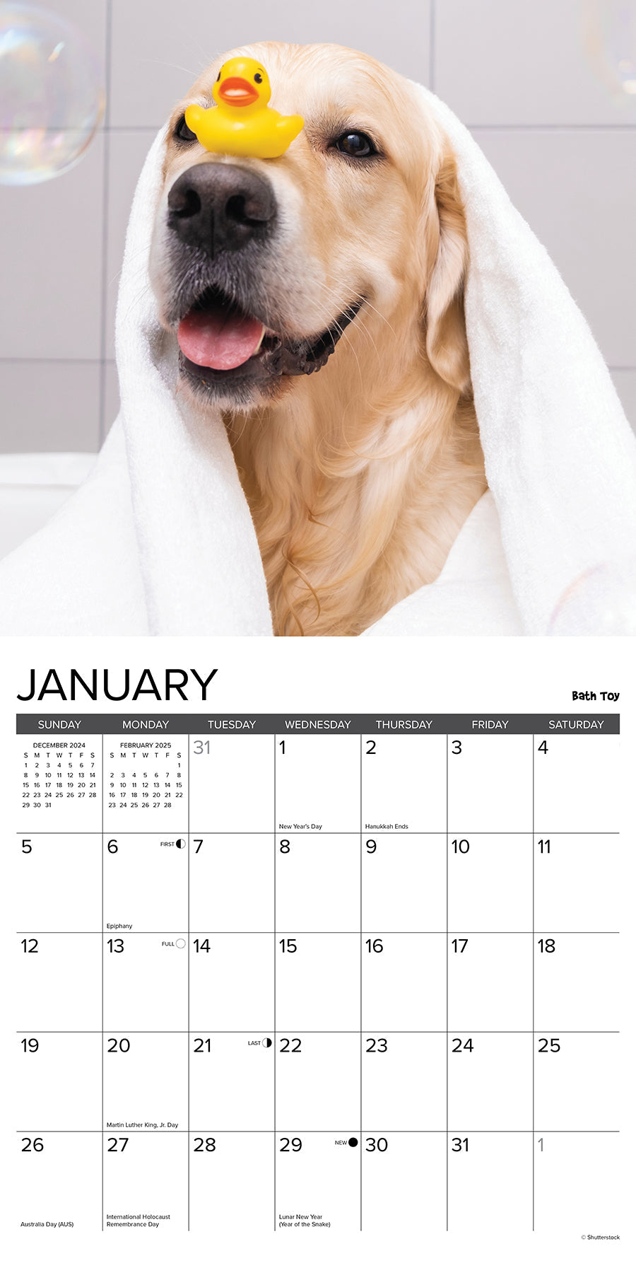 2025 12 Uses for a Golden - Square Wall Calendar