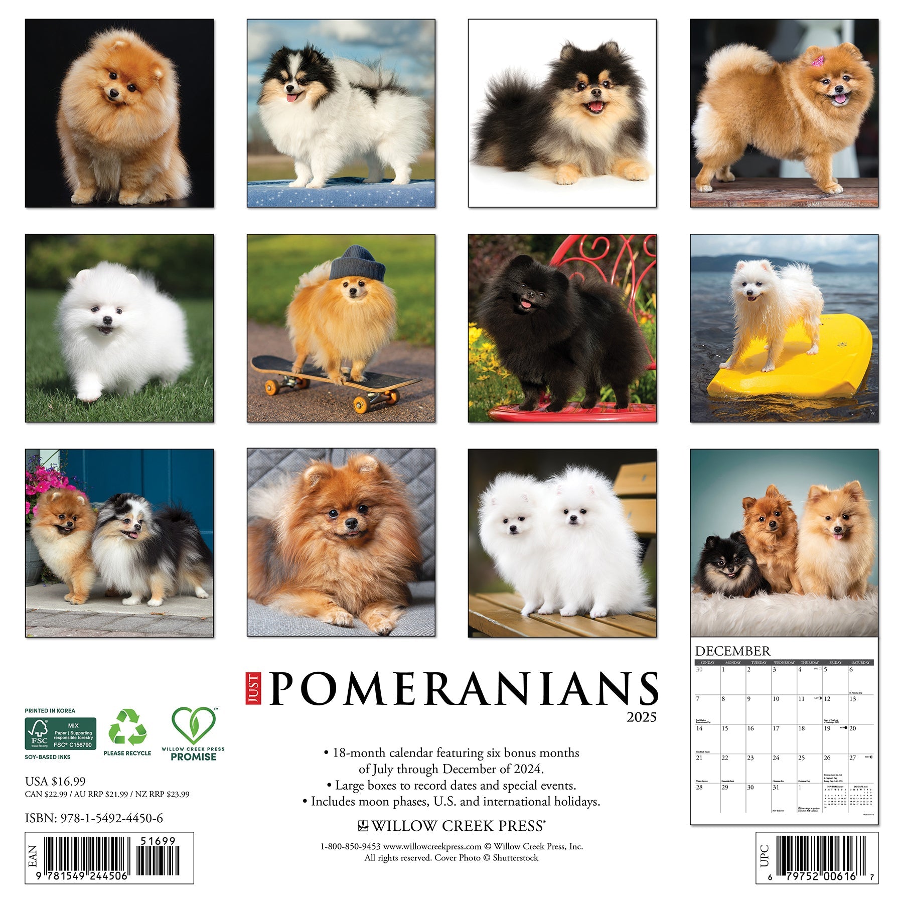 2025 Pomeranians - Square Wall Calendar