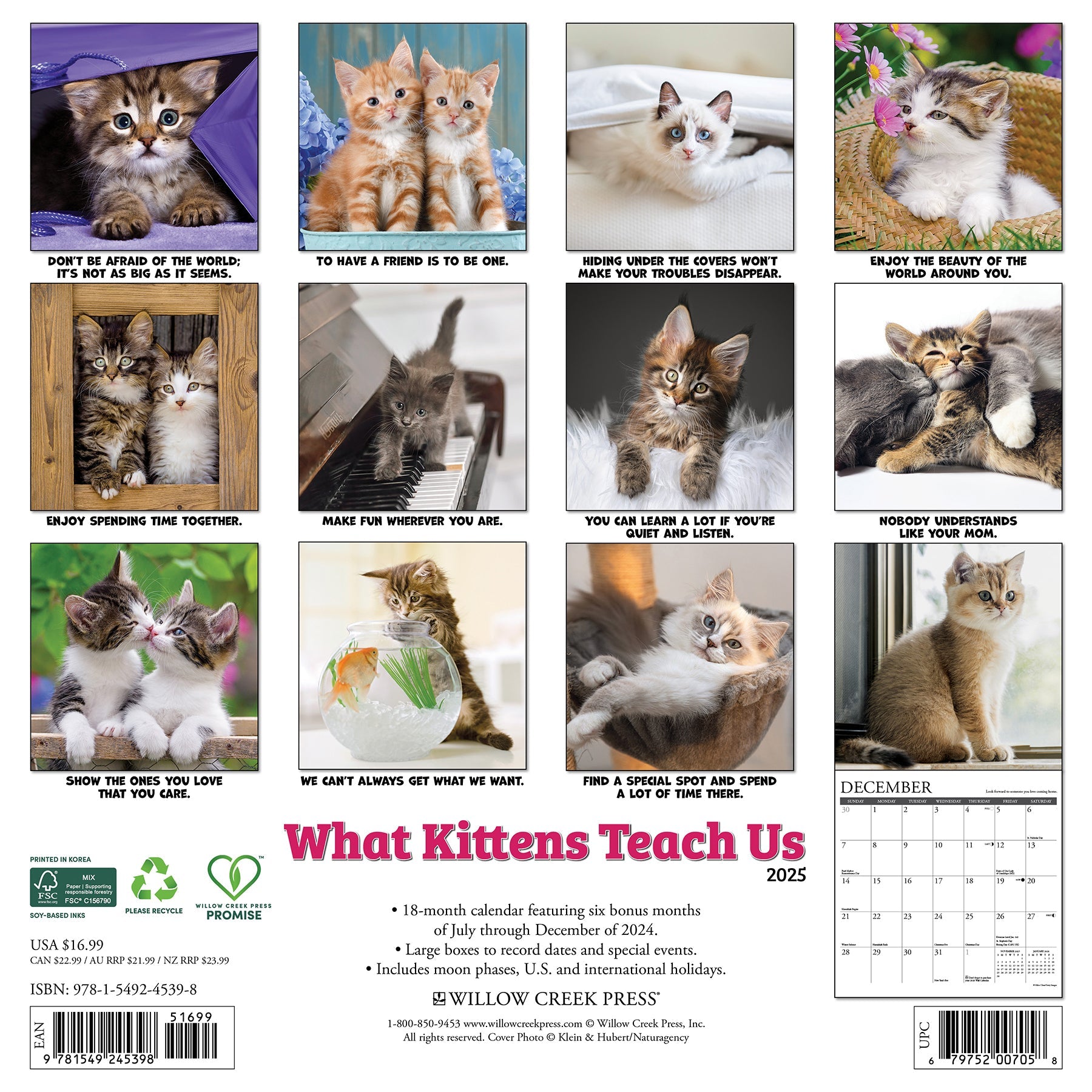 2025 What Kittens Teach Us - Square Wall Calendar