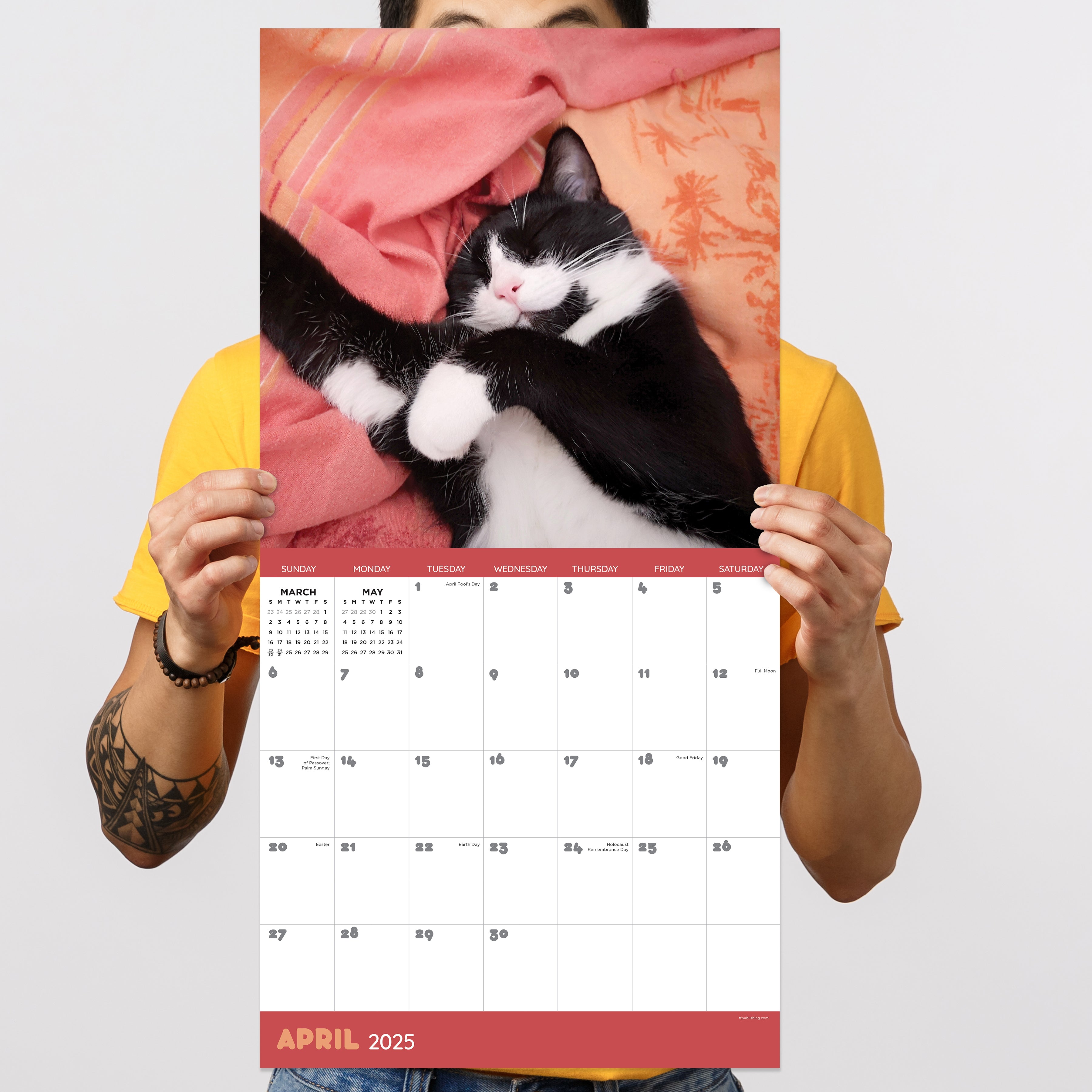 2025 Cat Dreams - Square Wall Calendar