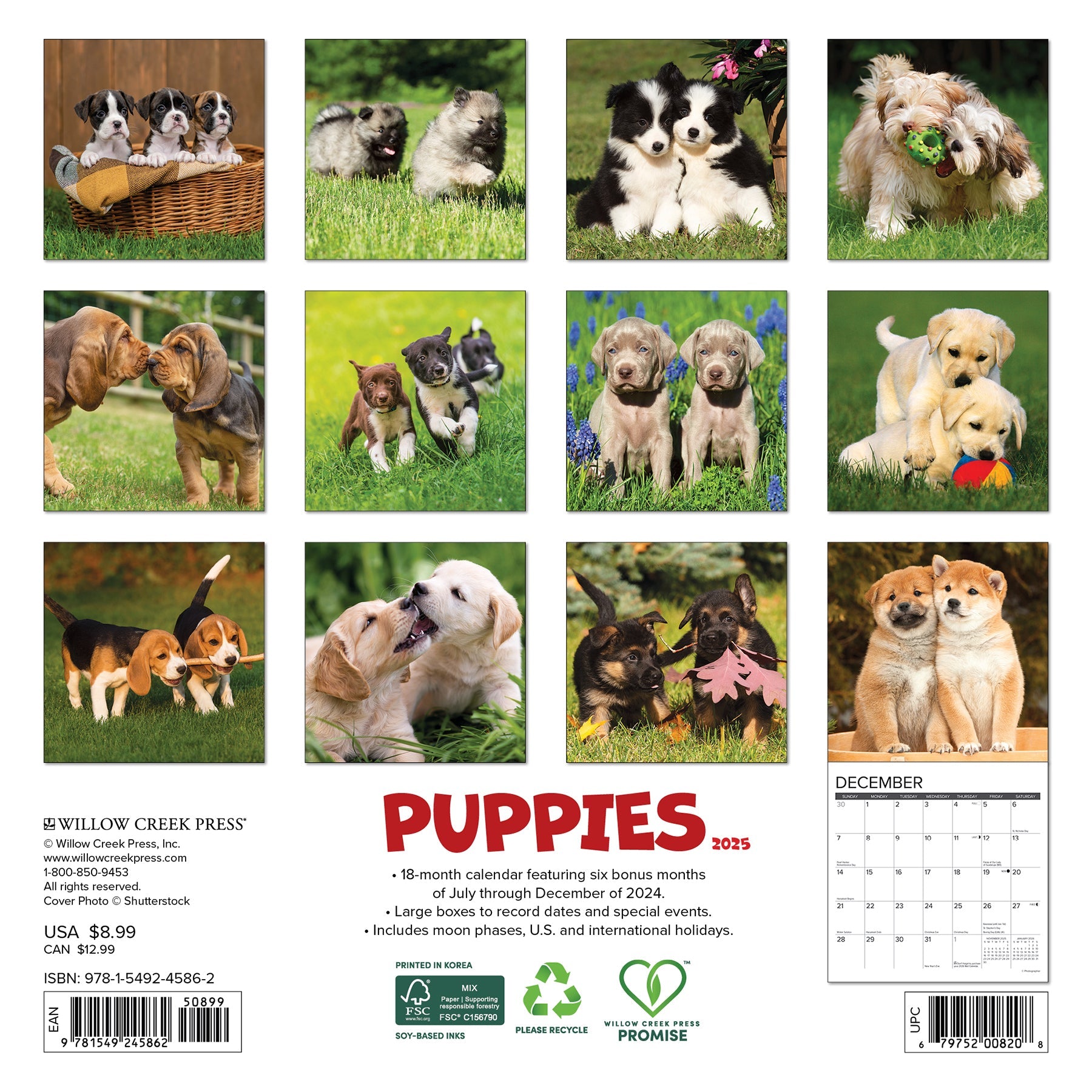 2025 Puppies - Mini Wall Calendar