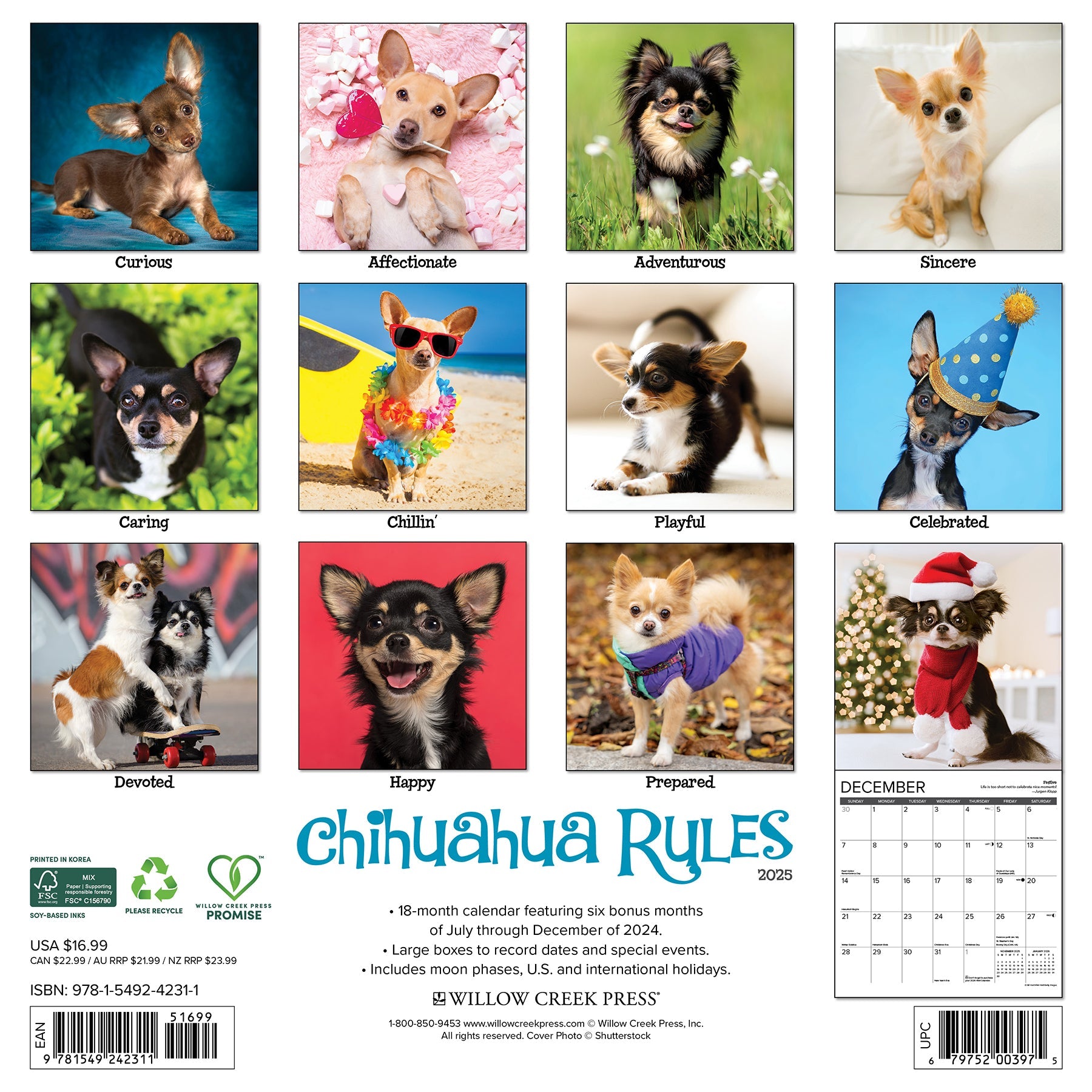 2025 Chihuahua Rules - Square Wall Calendar