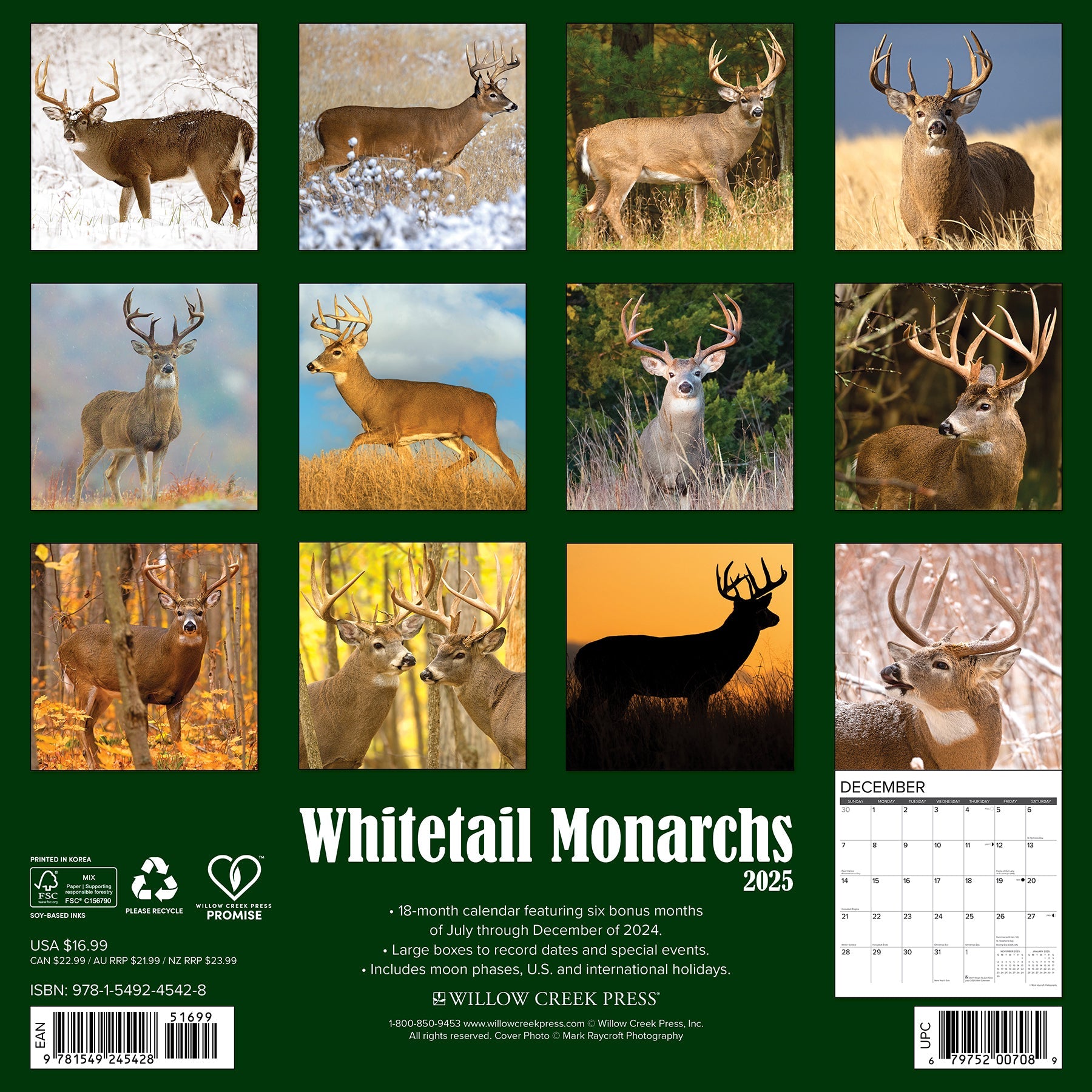 2025 Whitetail Monarchs (Deer) - Square Wall Calendar